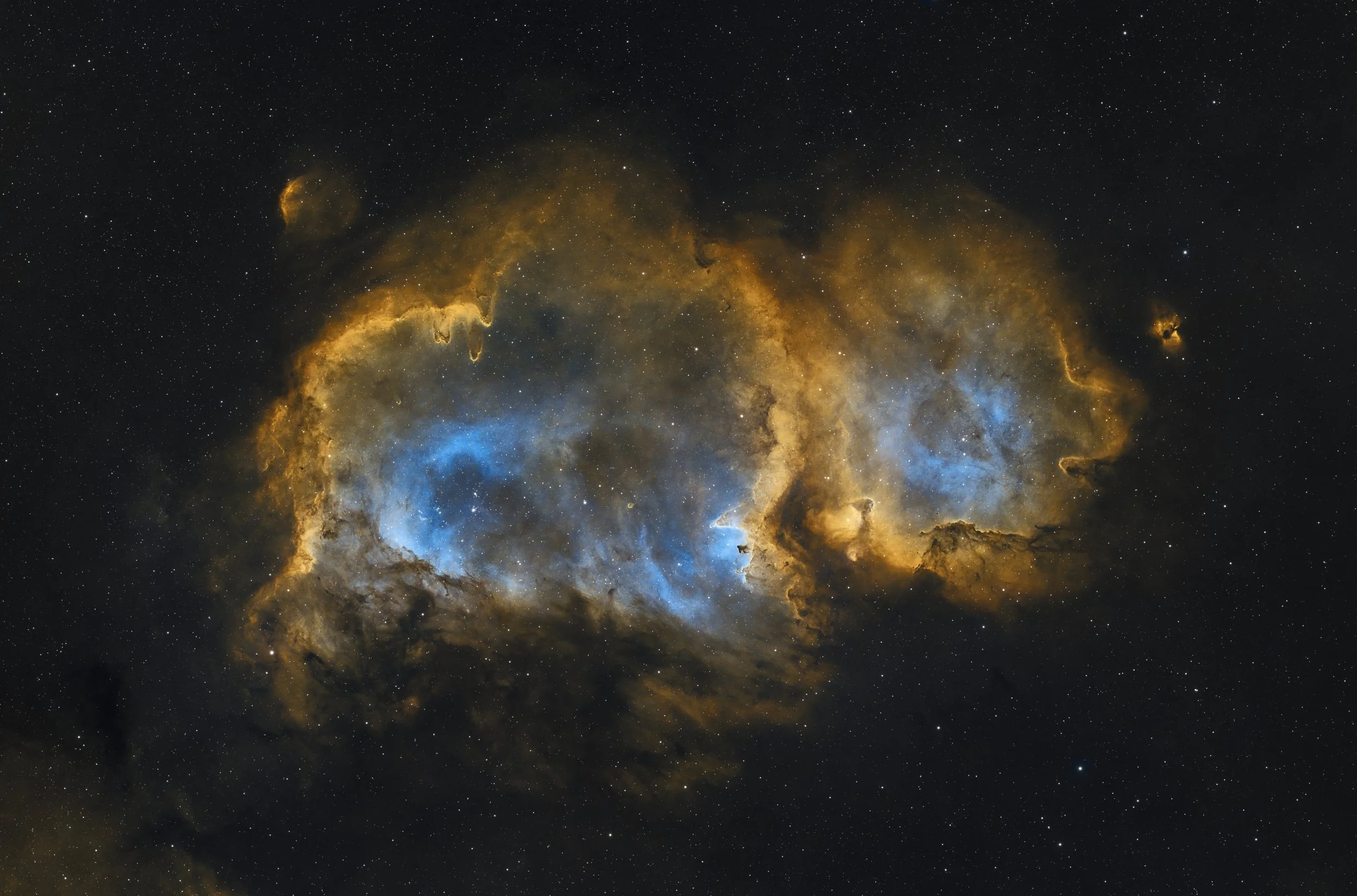 IC1848_SHO_V3_Oct_2024_Forax.jpg
