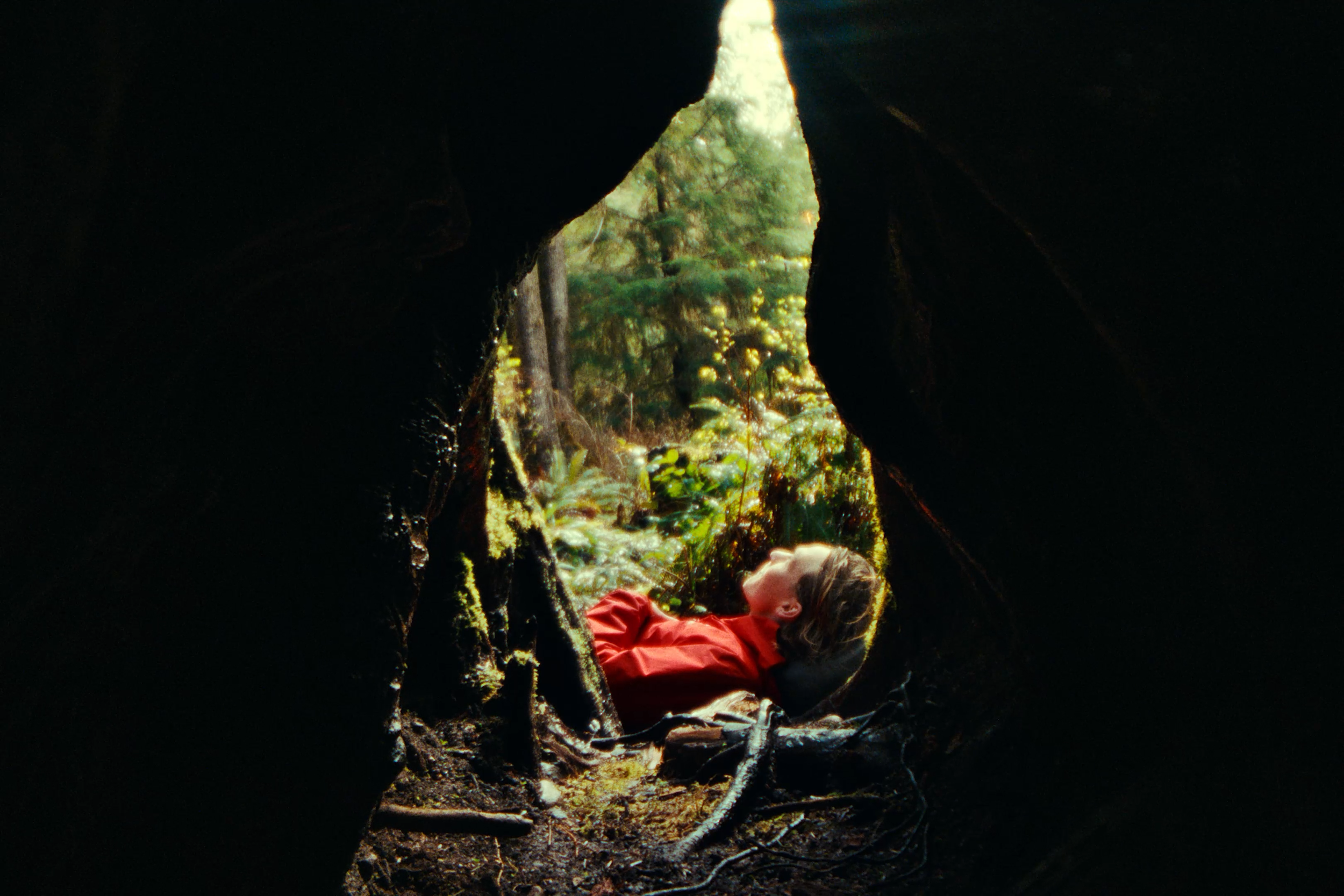 Sequence 01.00_00_41_16.Still004.png