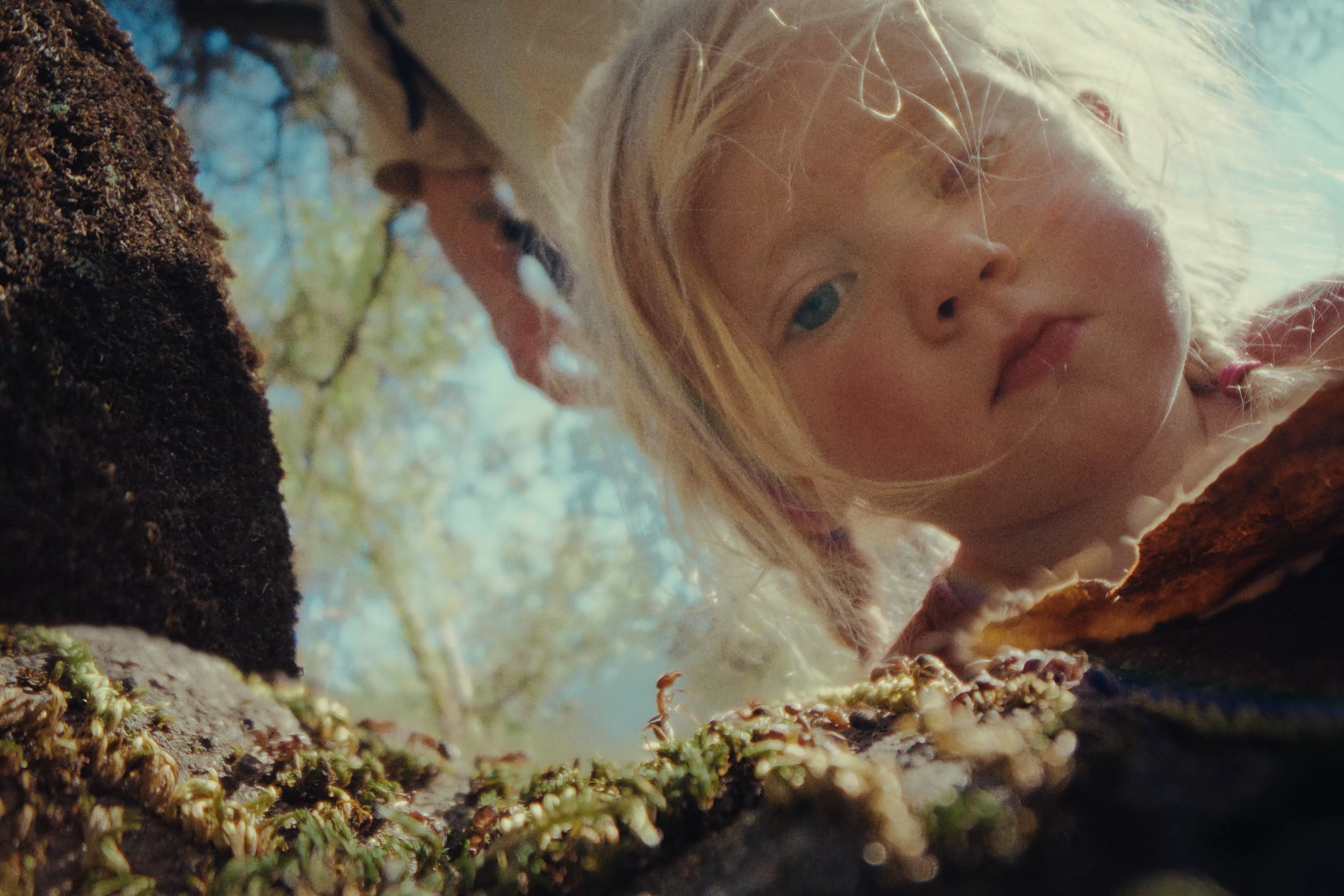 Sequence 01.00_00_47_06.Still003.png