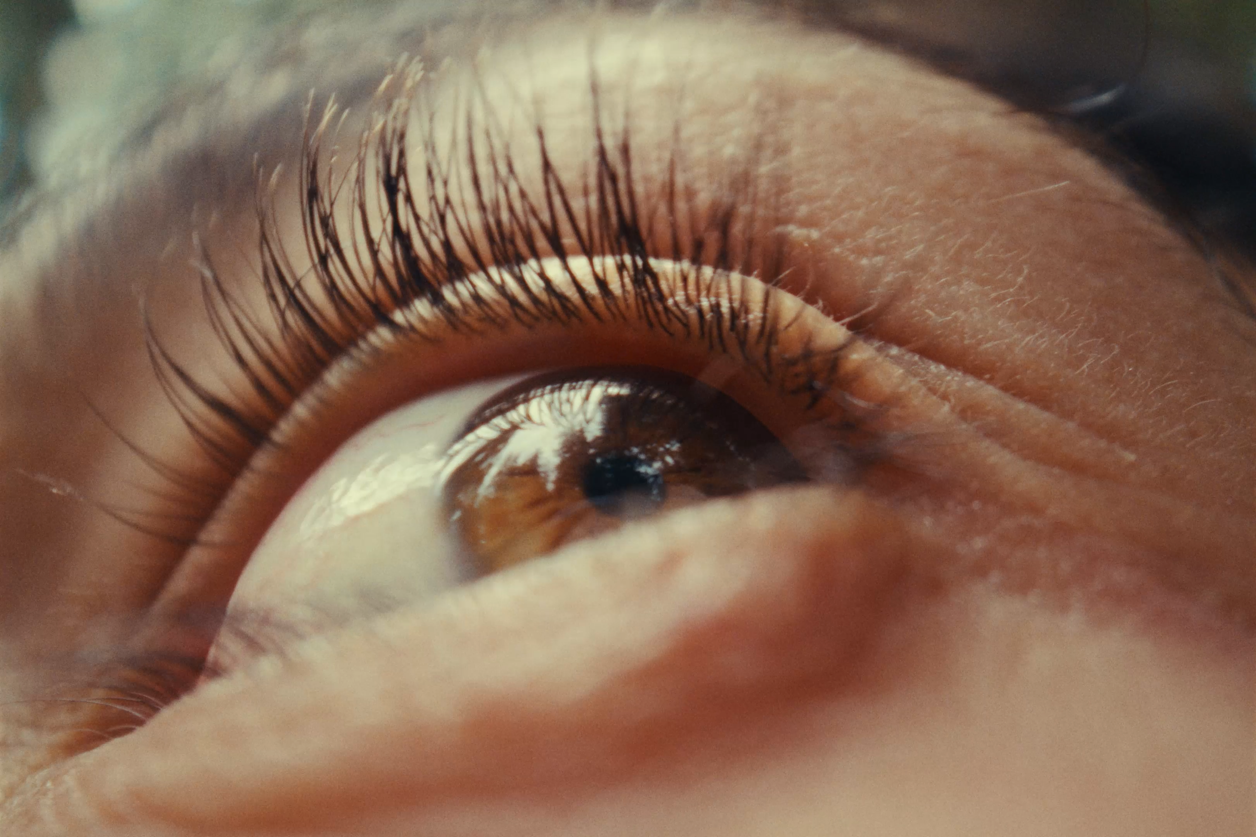 Sequence 01.00_00_39_20.Still001.png