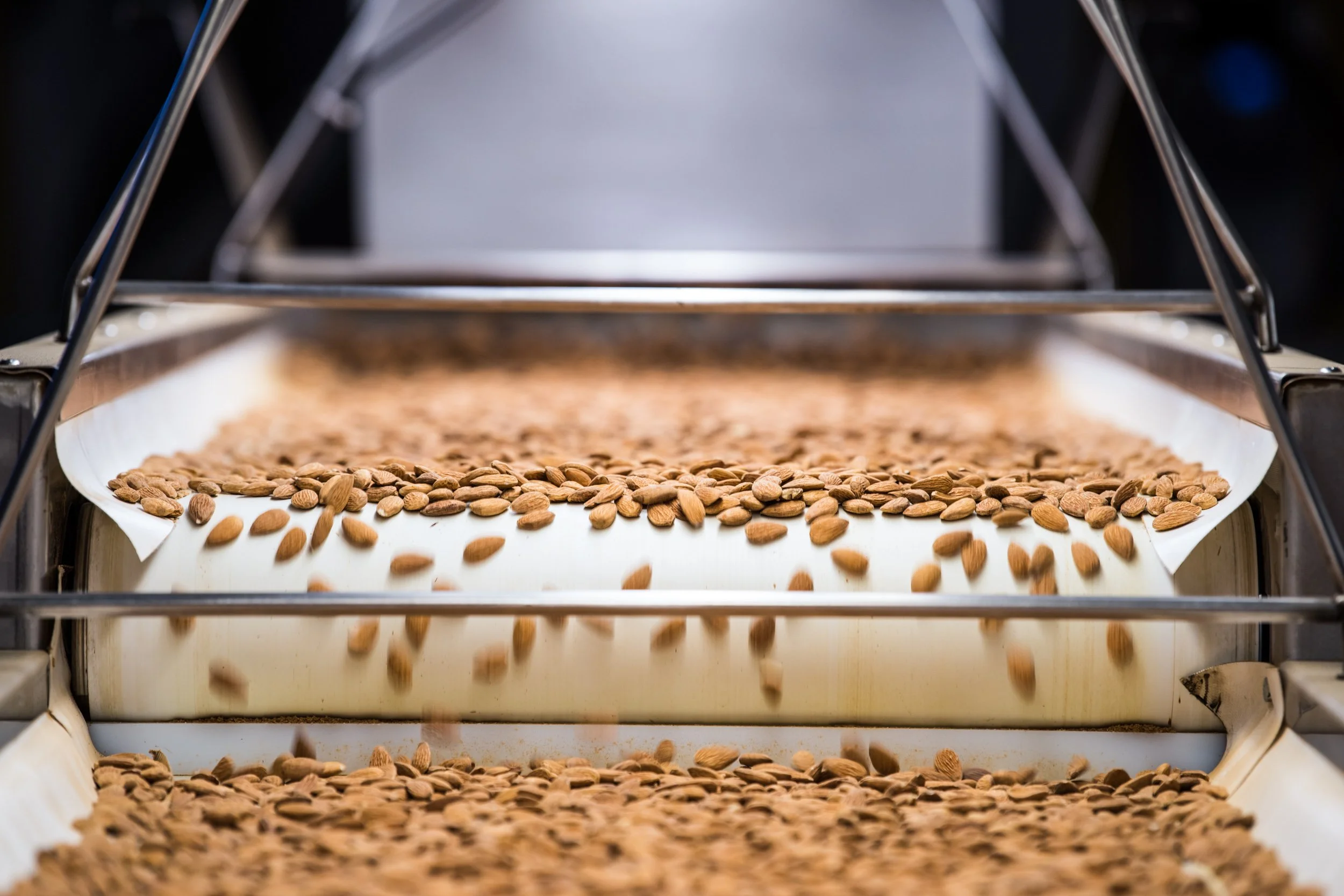 automated-almond-processing-equipment.jpg