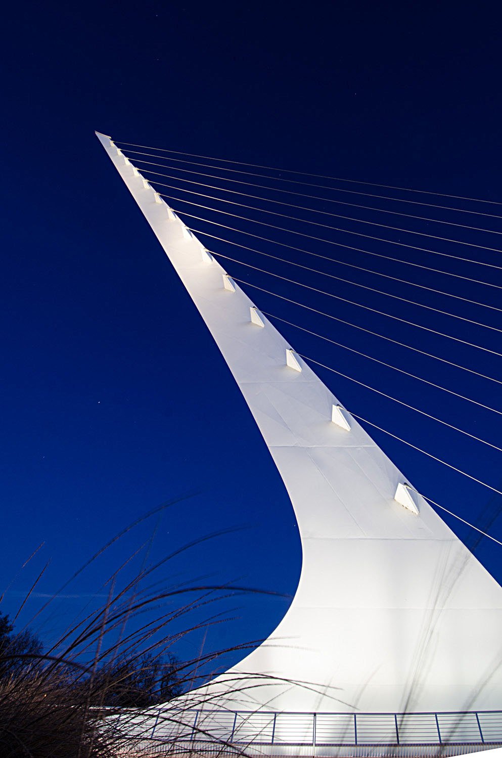 Low-angle view of a modern, white cable-stayed bridge with a curved pylon against a dark blue night sky.