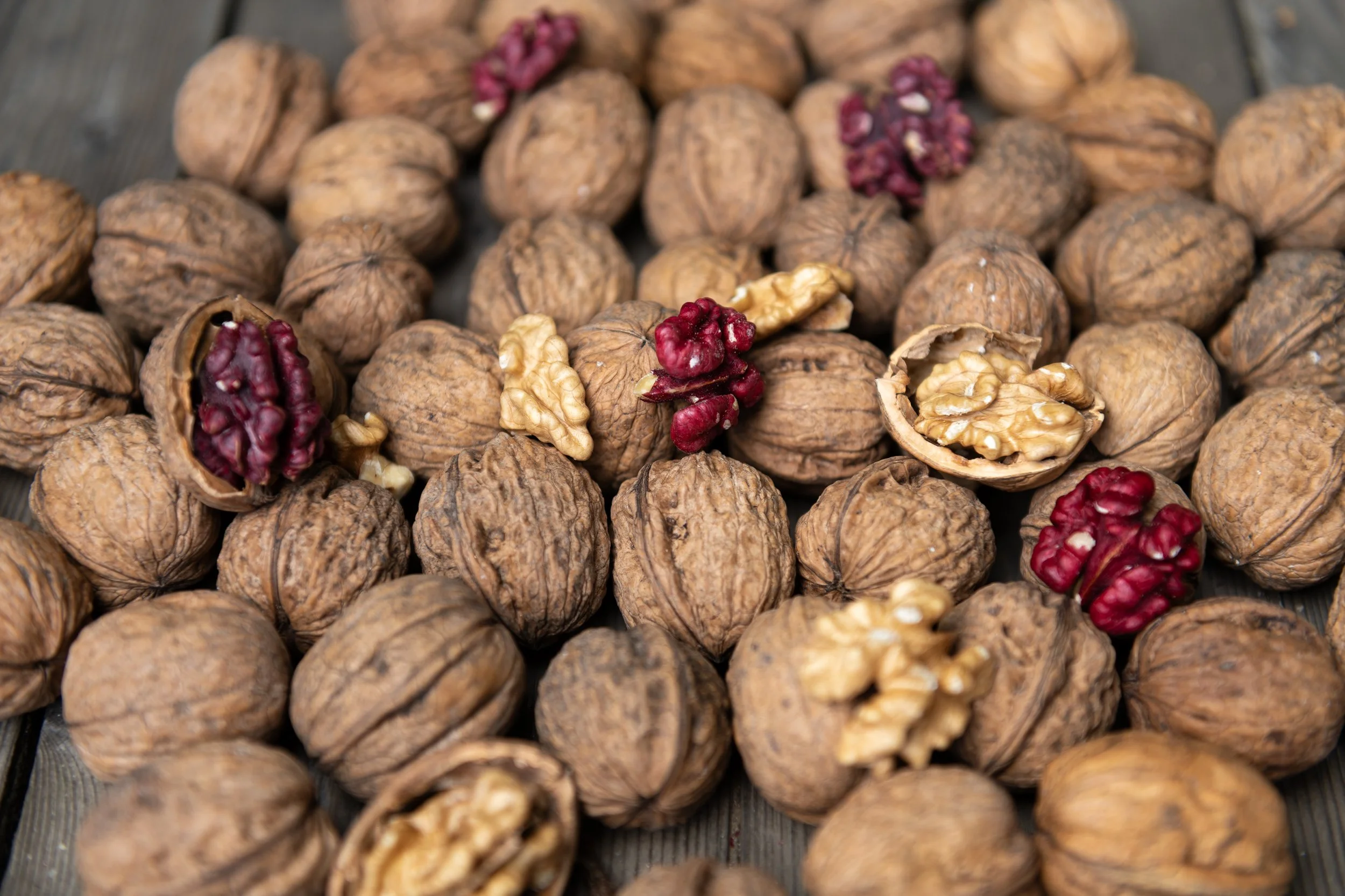 walnut-varieties.jpg