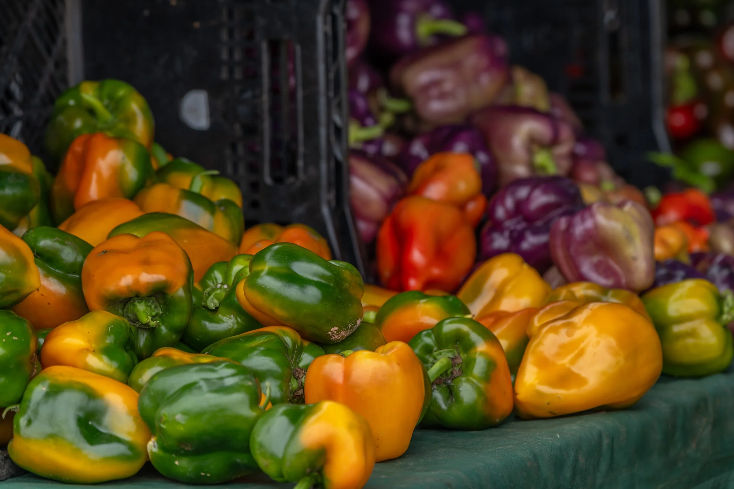 organic-farm-to-fork-peppers.jpg