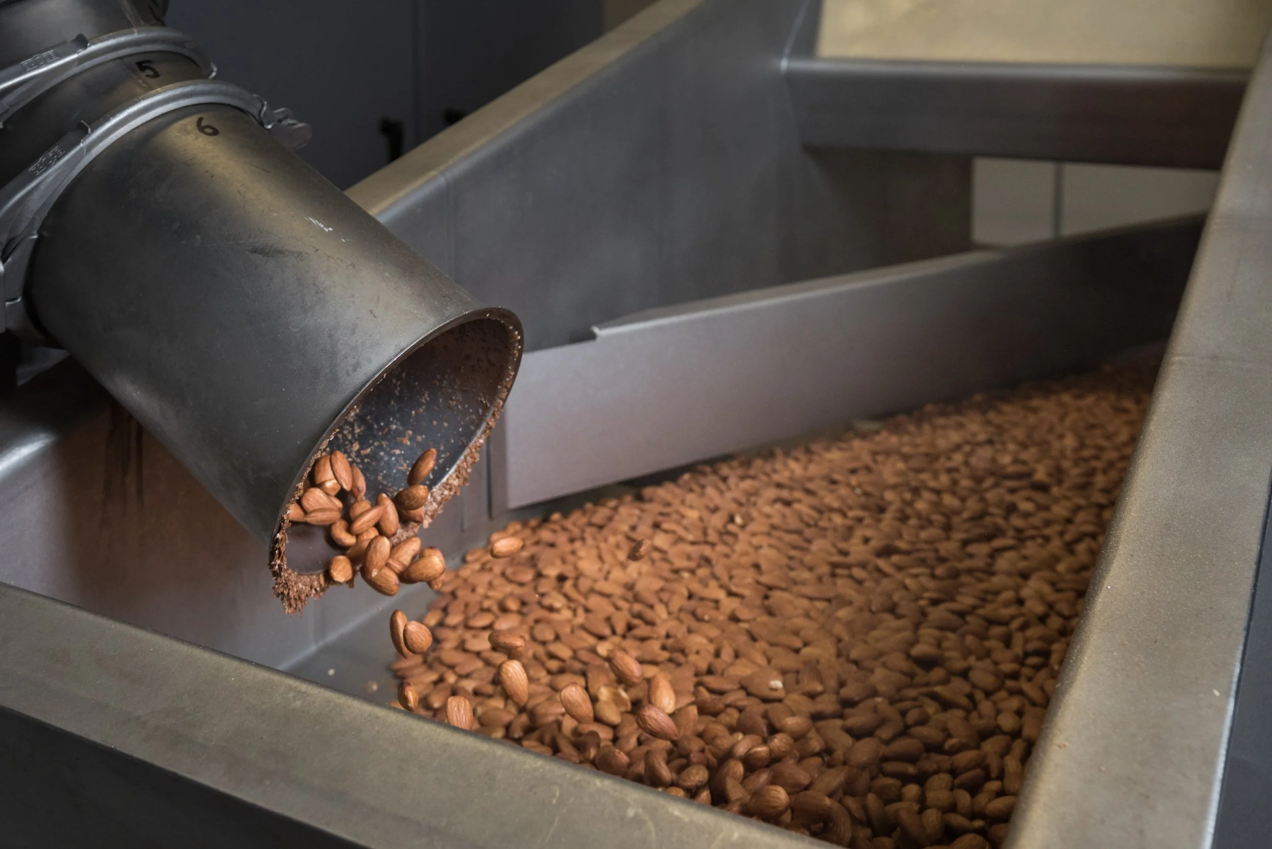 almond-Pasteurization-Steam.jpg