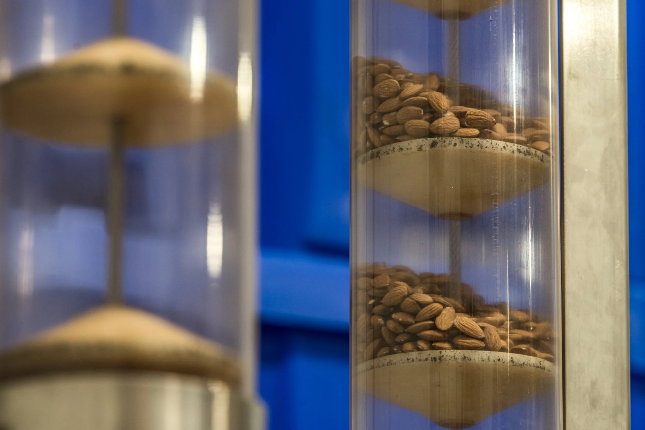 almond-Pasteurization-processing.jpg