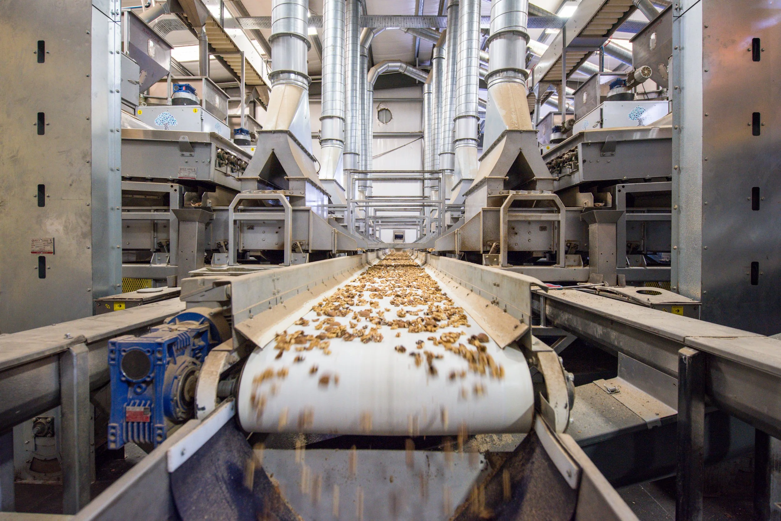 Walnut-Process-equipment-automation.jpg