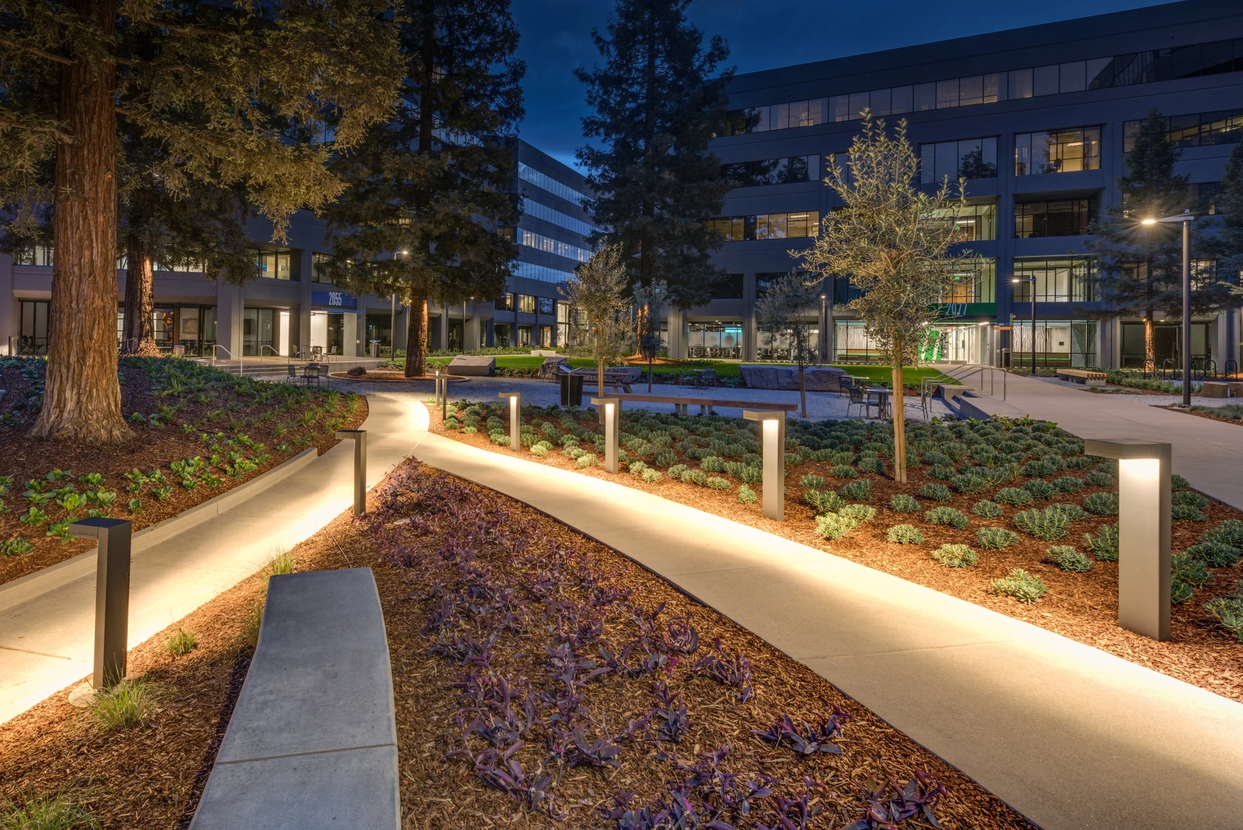 Night view of a modern office building with illuminated windows, surrounded by landscaped garden with trees, benches, pathway lights, and a walking path.