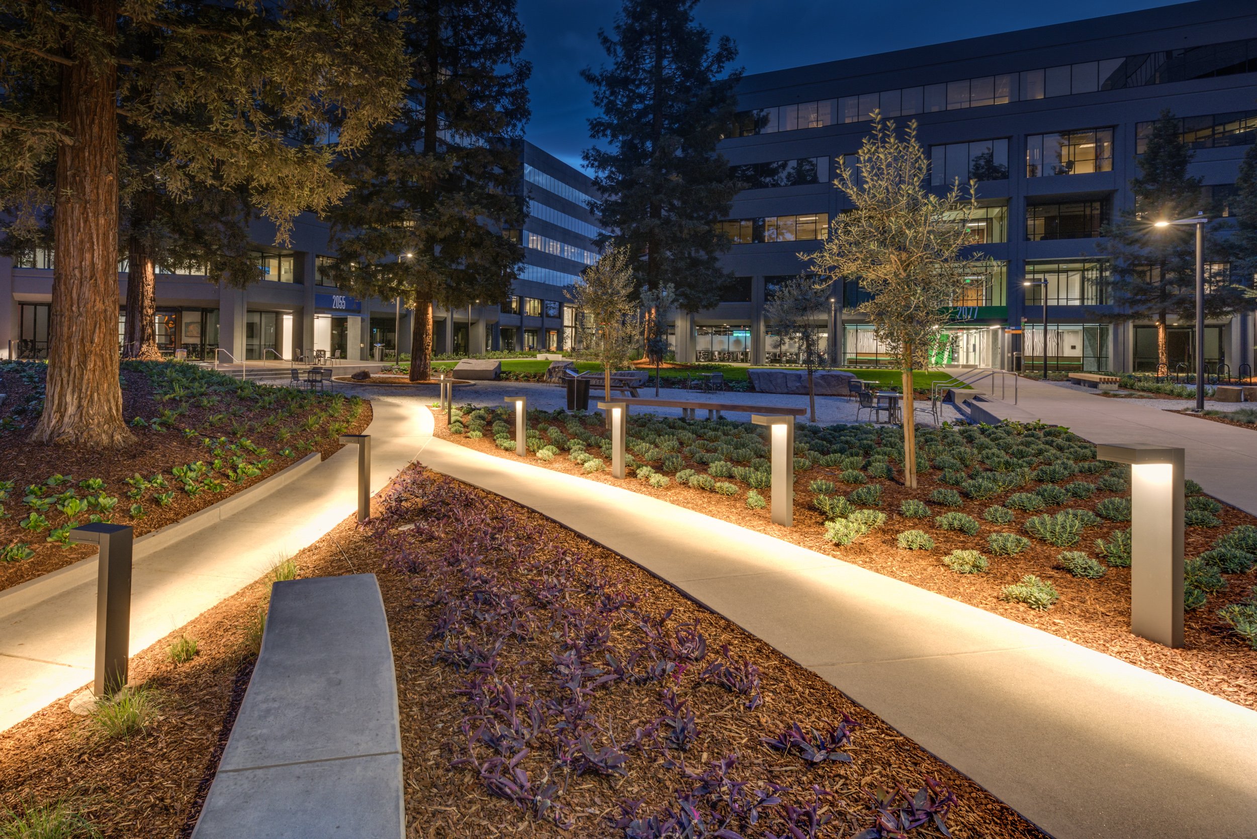 A nighttime scene of a modern office or residential complex with well-lit walkways, benches, trees, and landscaped gardens.