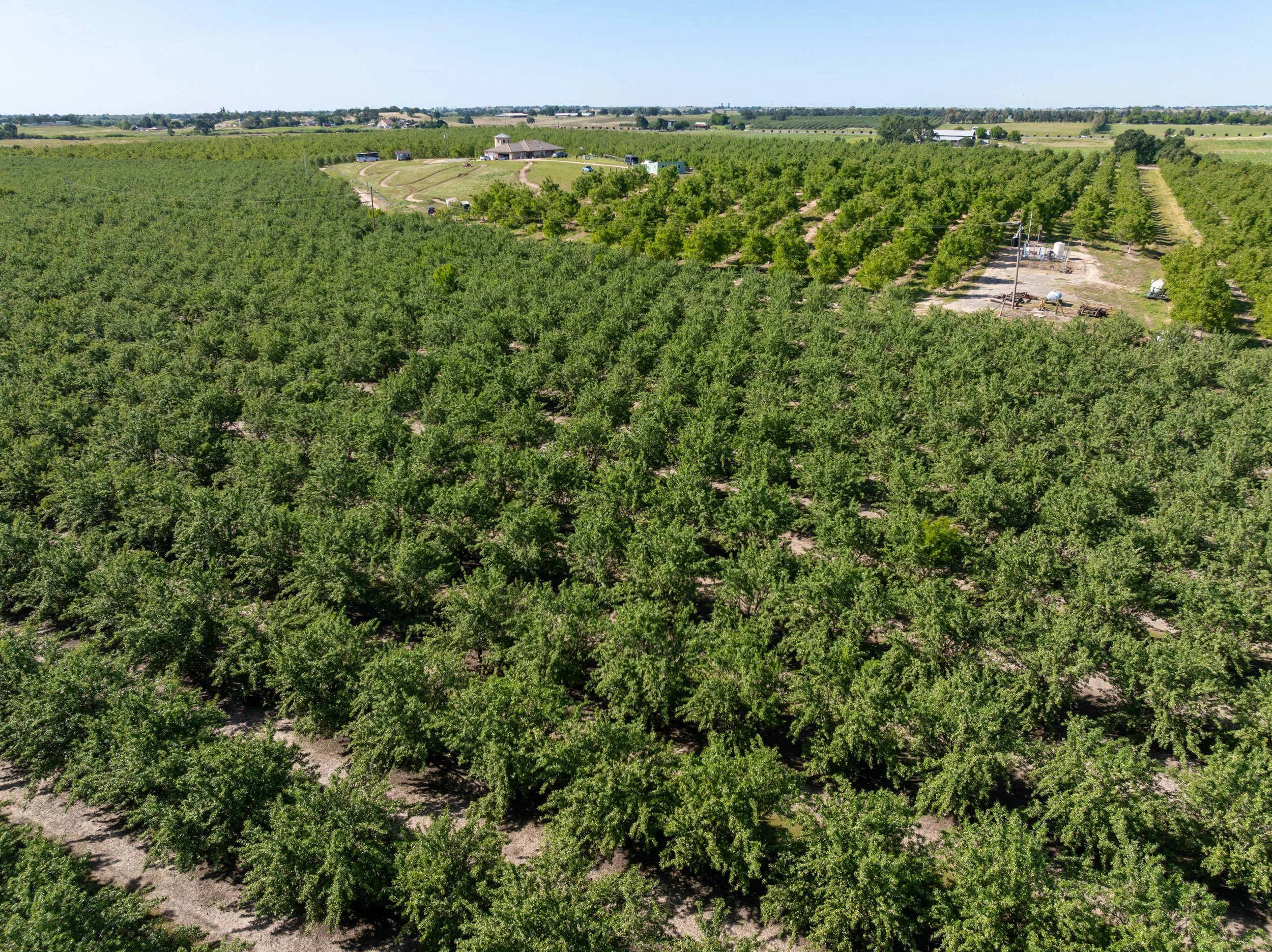 Nut-farm-crops-from-drone.jpg
