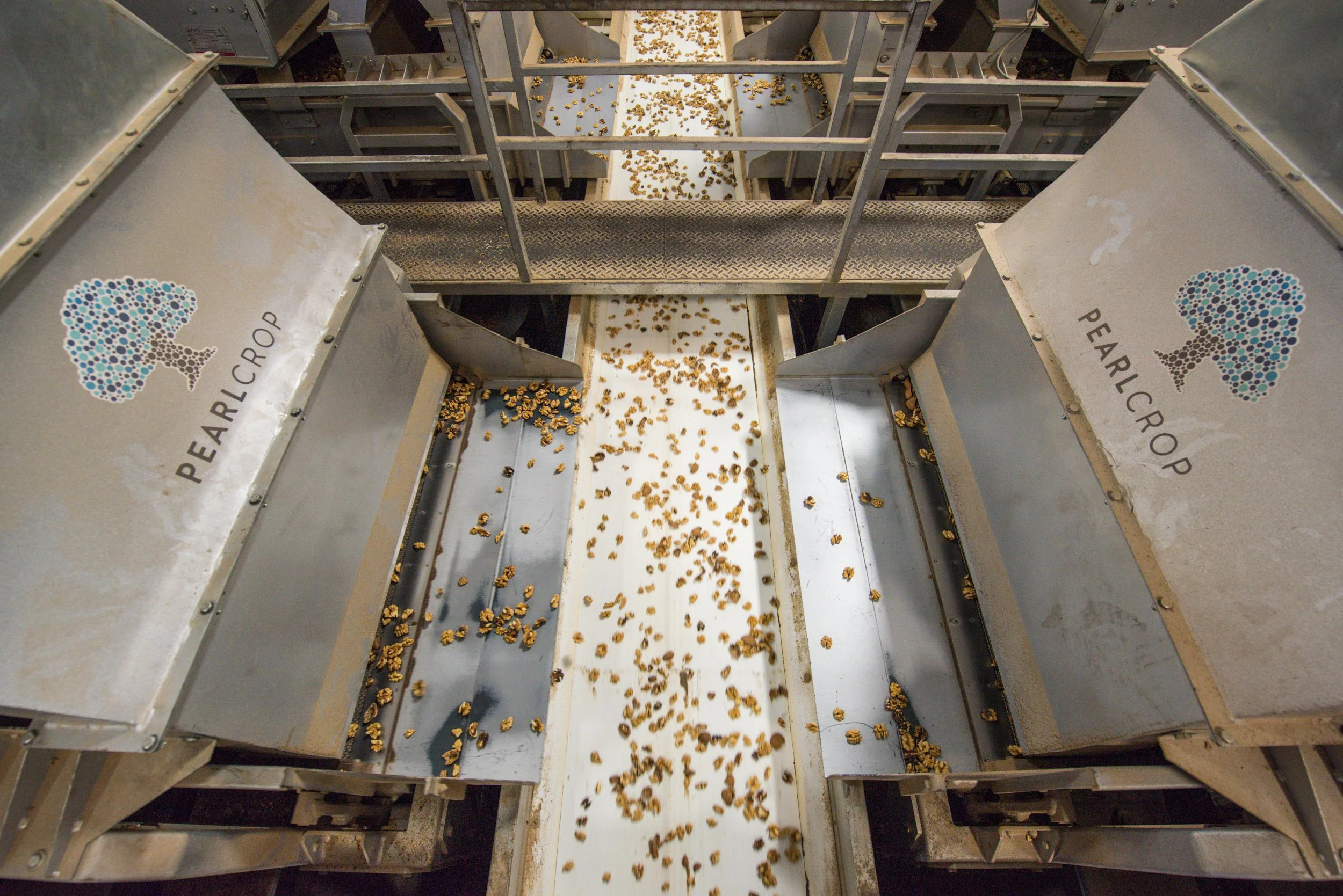 Walnut-Processing-equipment-technology.jpg