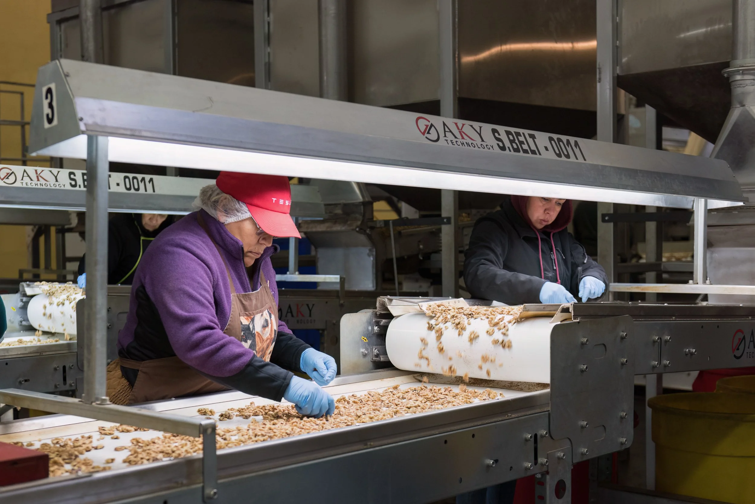 Walnut-Processing-hand-sorting.jpg
