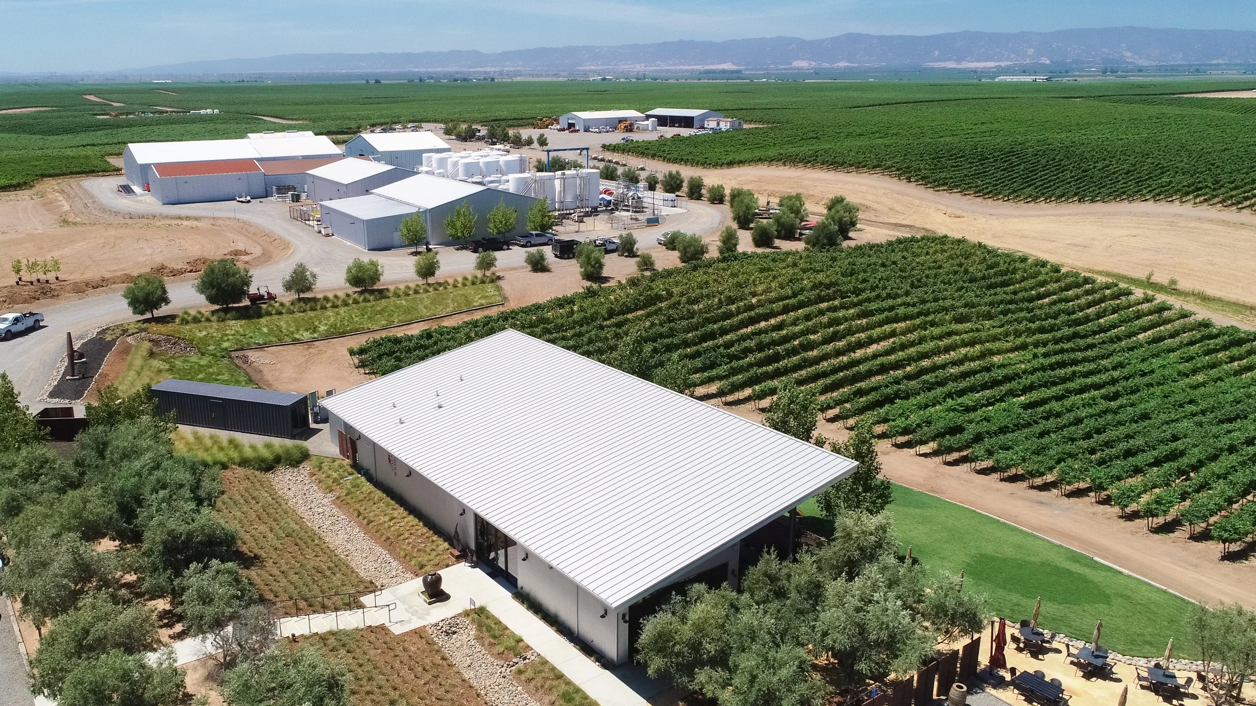 Winery-grapevine-crops-from-drone.jpg