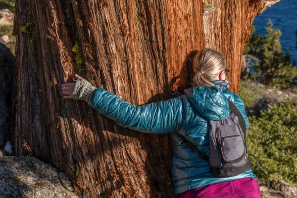 Aimee feeling the energy of a massive tree