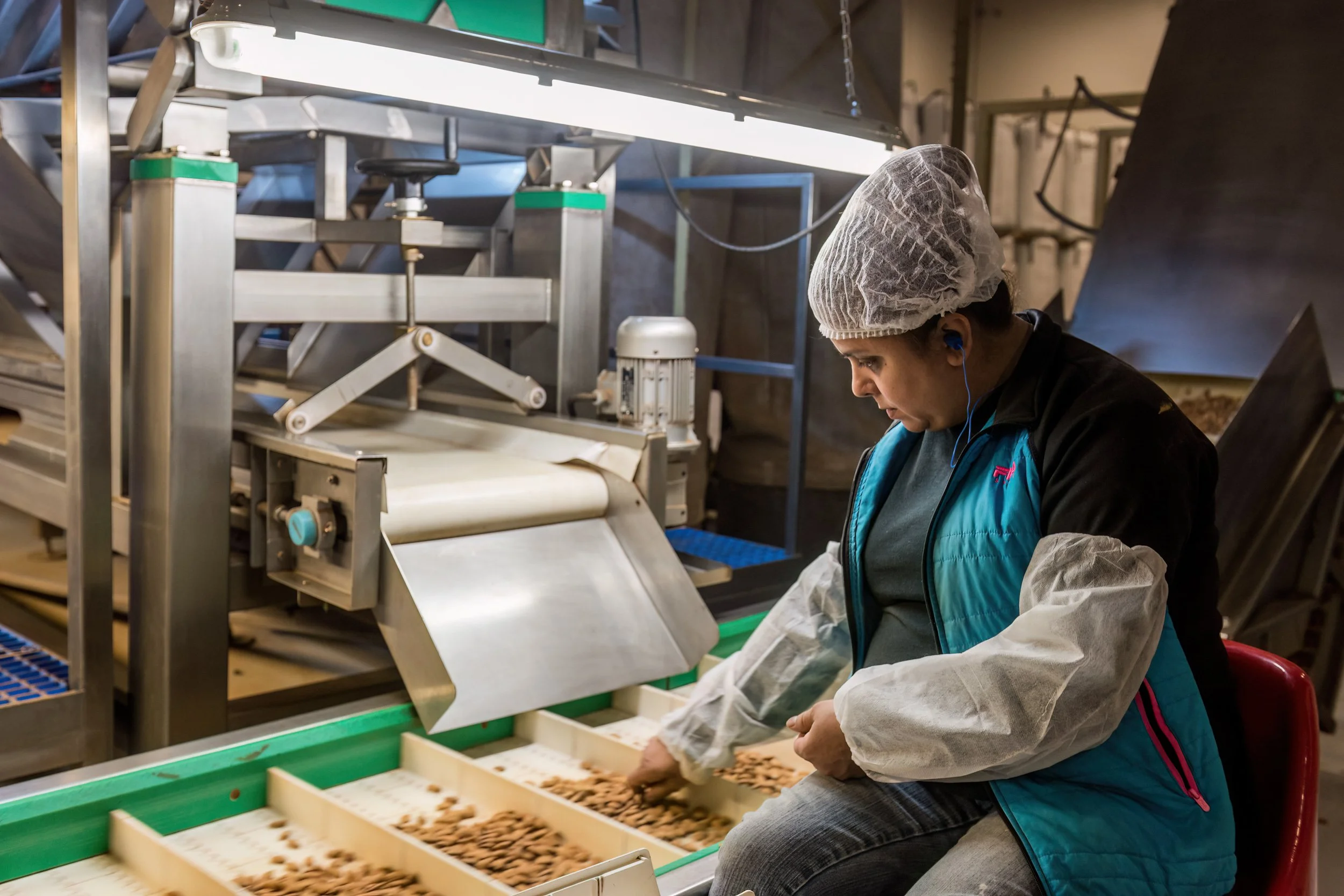 hand-sorting-almonds.jpg