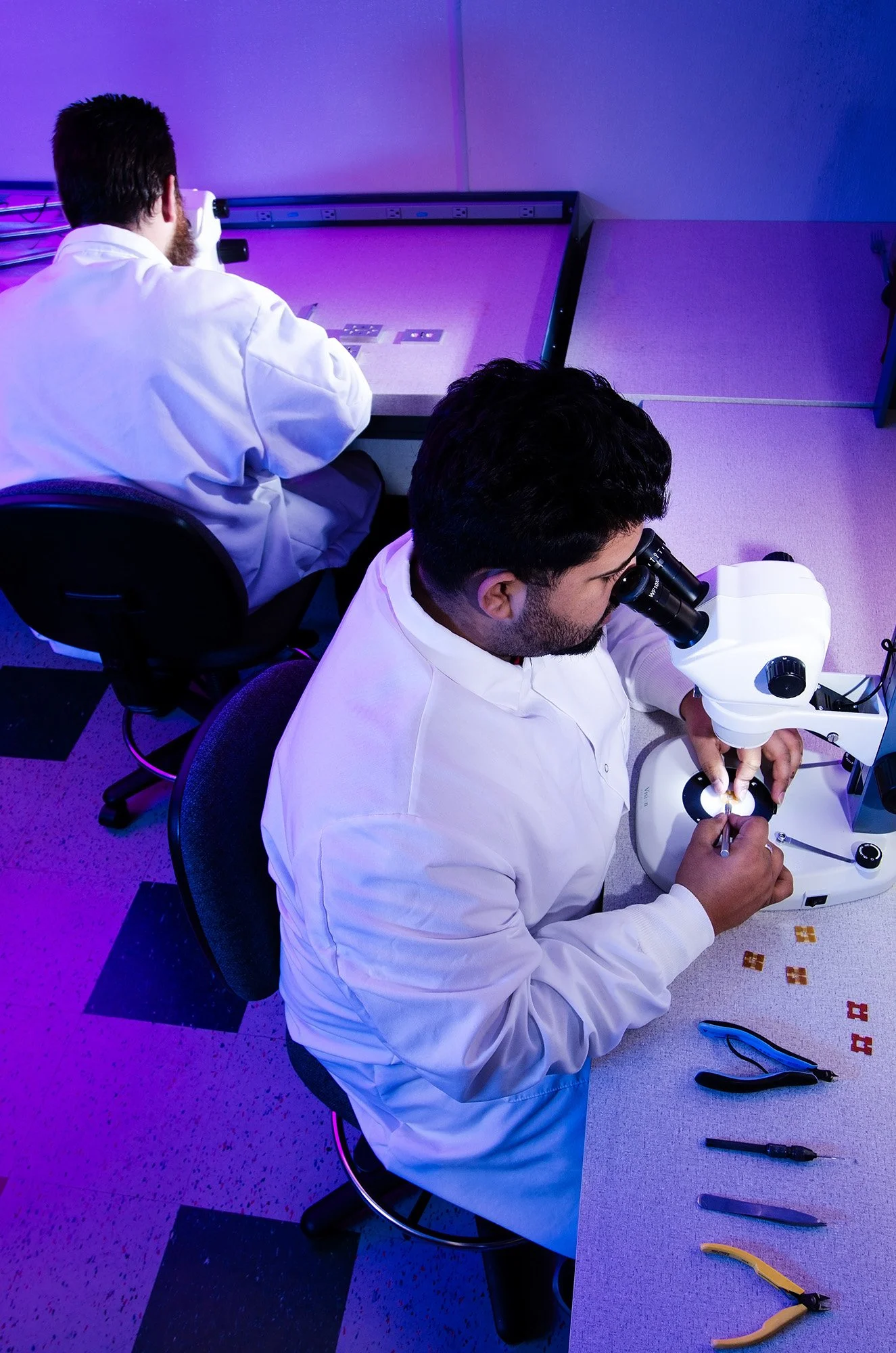 Two scientists in laboratory coats working with microscopes in a lab illuminated with purple and blue lighting.