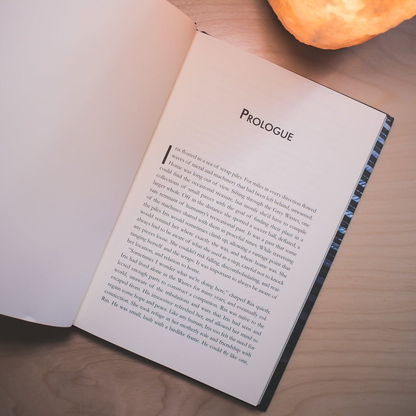 book+inside.jpg