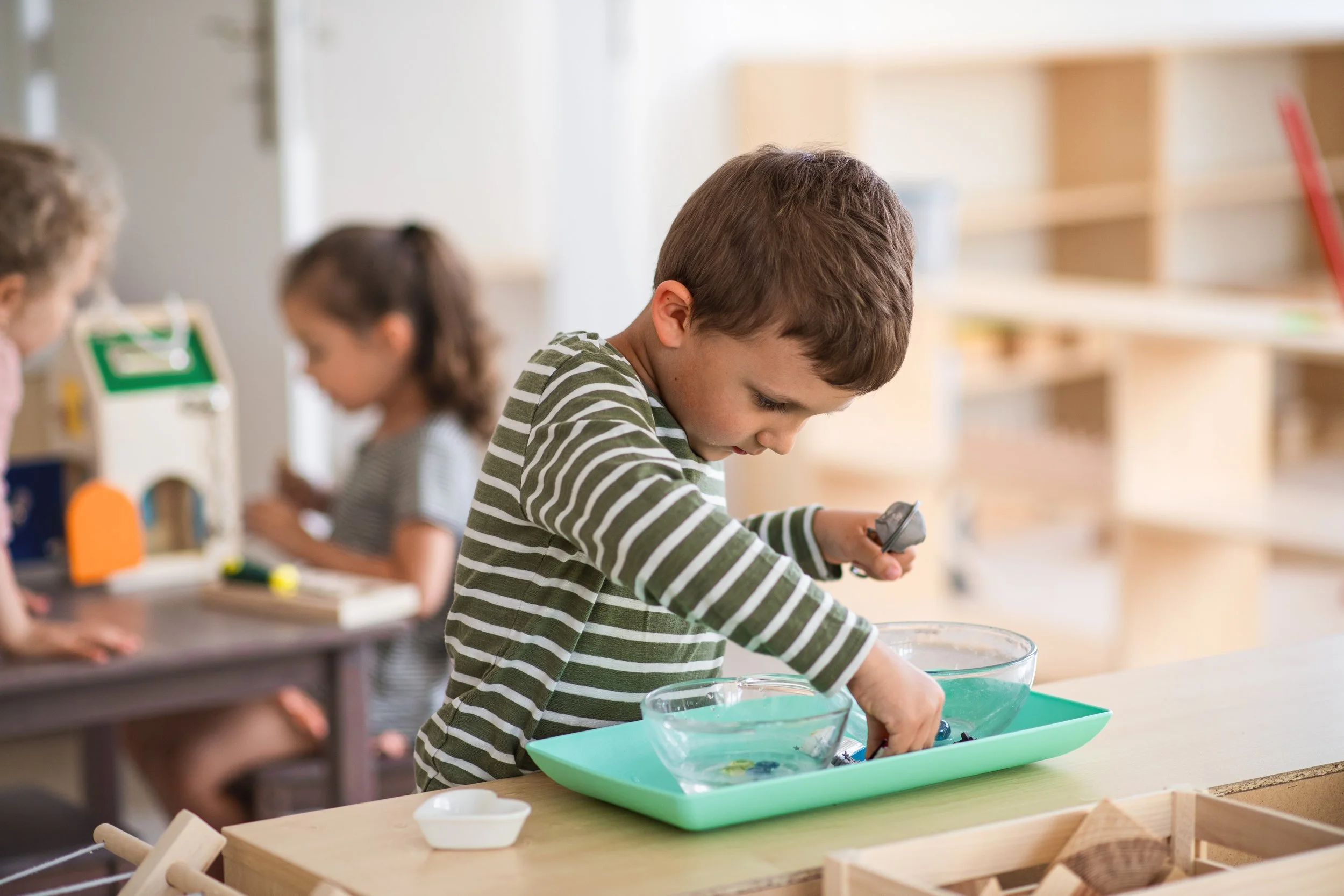 Back-to-School Transitions in a Montessori Preschool Classroom