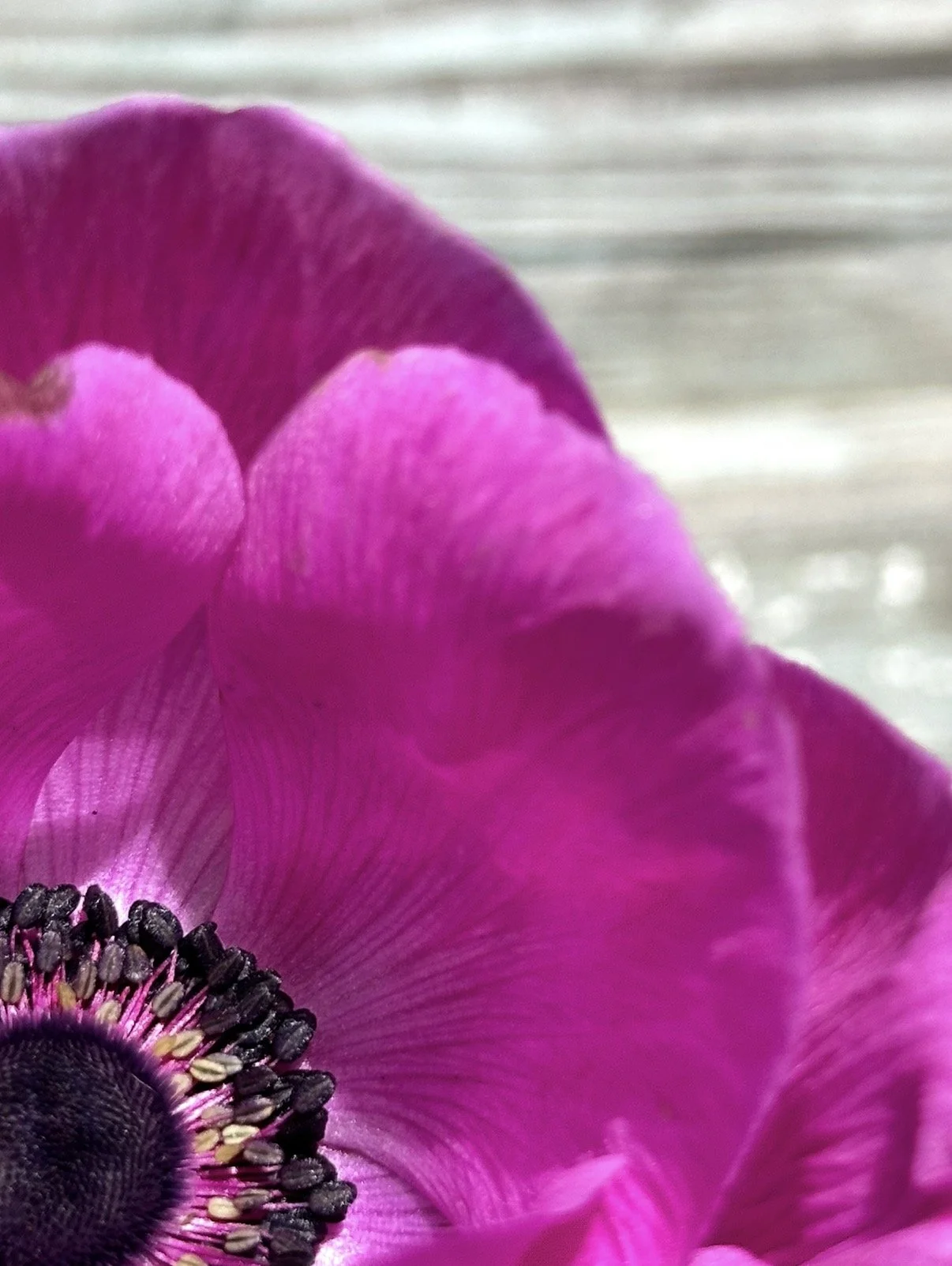 IMG_6842.PNG