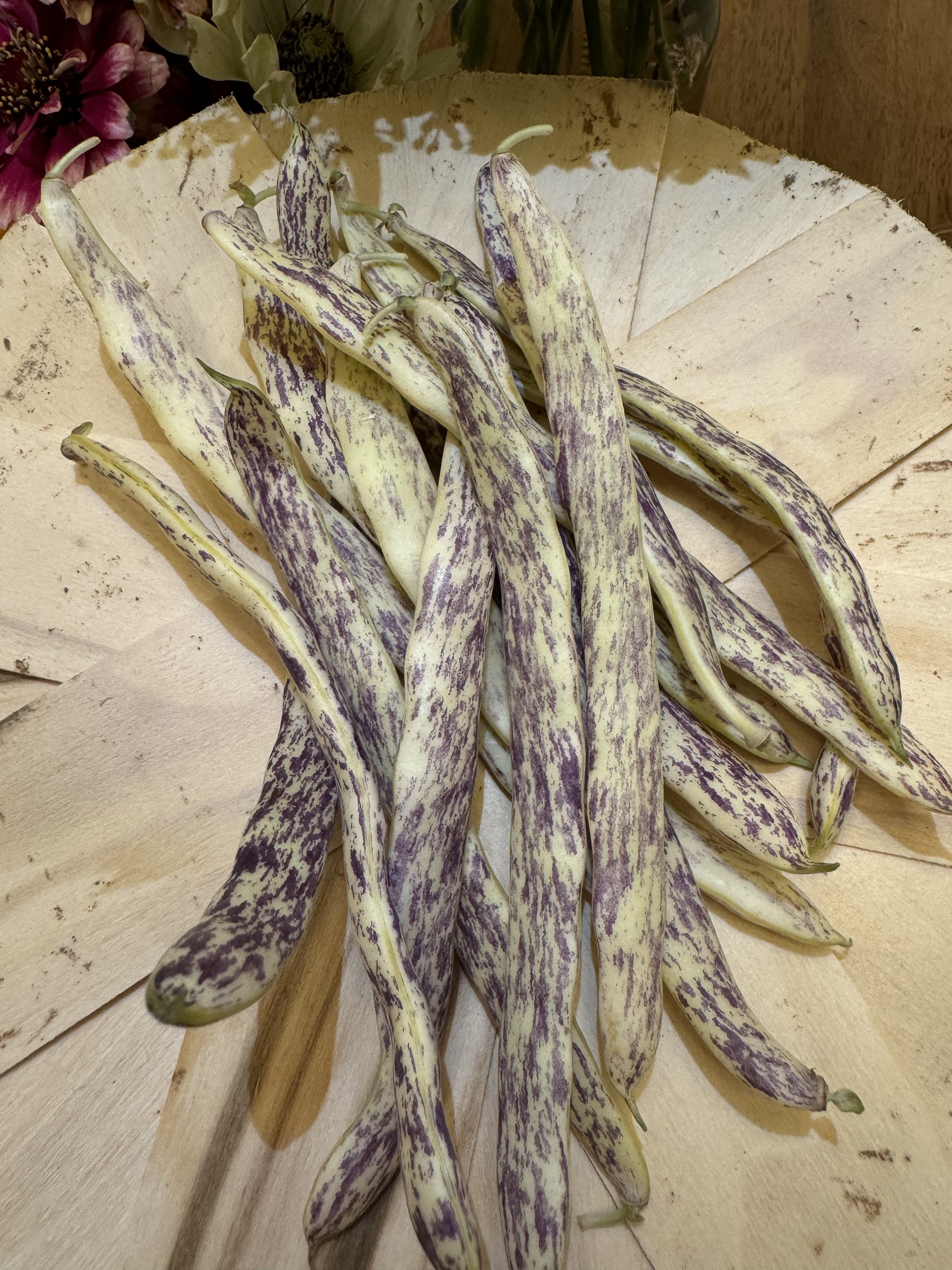 Dragon Tongue