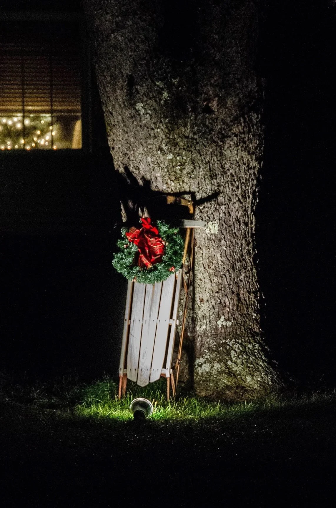 Christmas+sled+on+tree.jpg