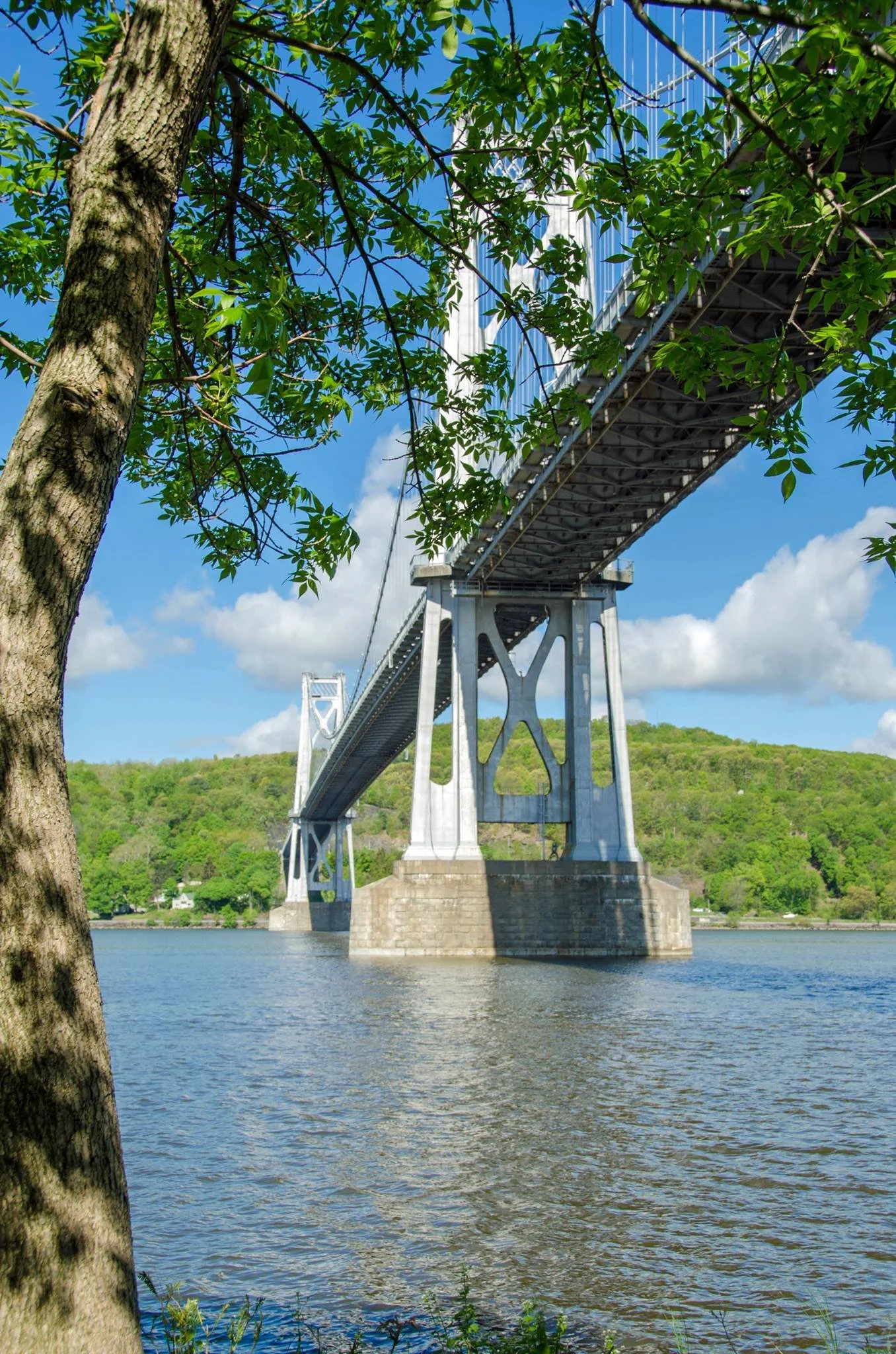 under the bridge.jpeg