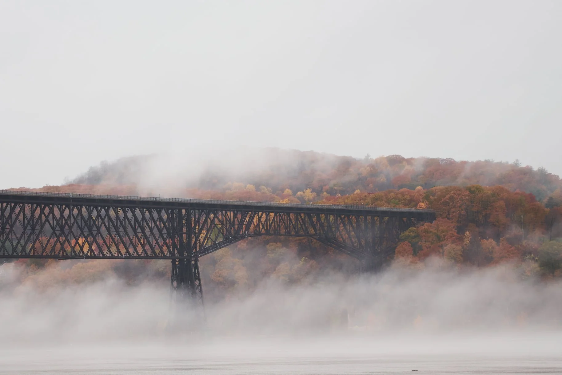 walkway over the mist.jpeg