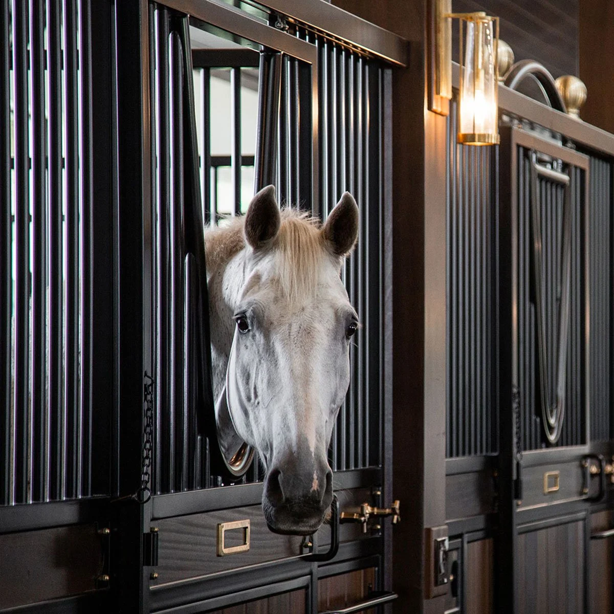 Stables at TerraNova Equestrian Center