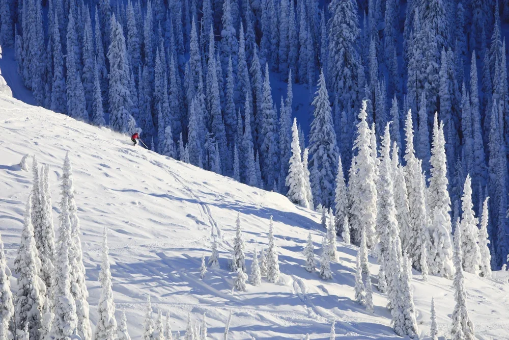 Ski 3,500 Acres of Terrain at Mammoth Mountain in California