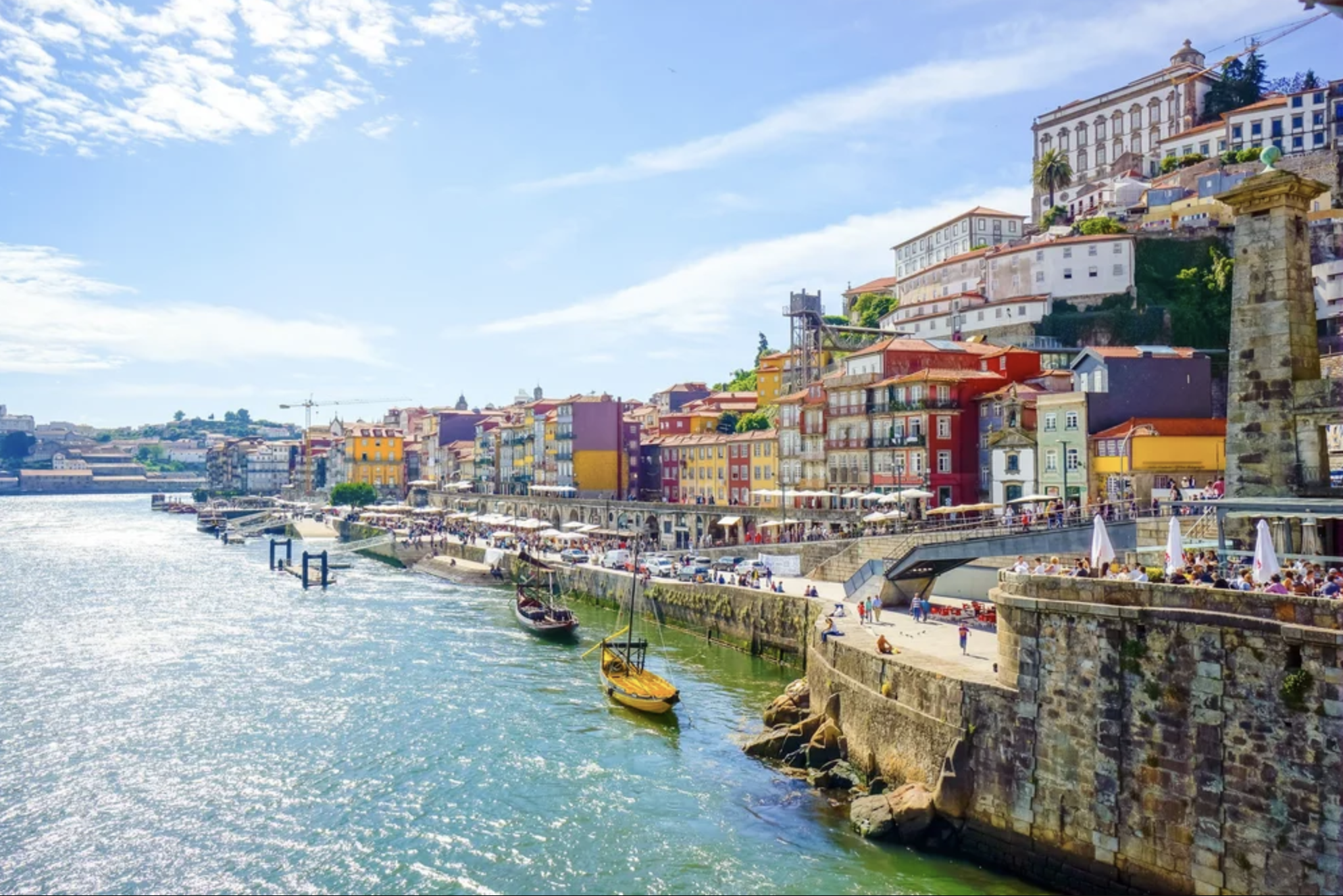 Wine Taste Along the Scenic Douro River