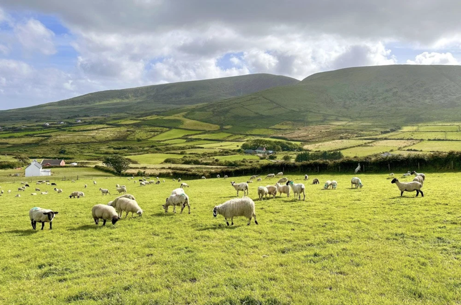 Countryside Charm in Killarney, Ireland
