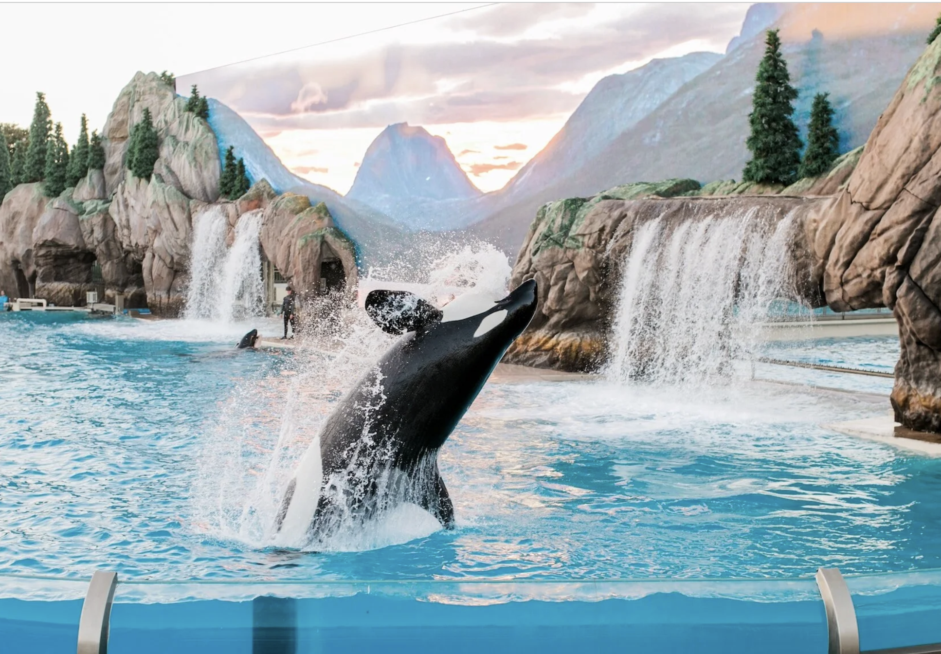 Magic, Memories, & Family Fun in Orlando