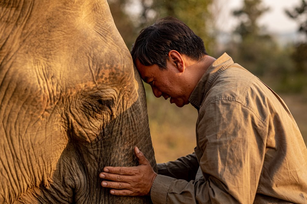 Smithsonian_Myanmar_Elephant Collaring_Justin_Mott_100.JPG