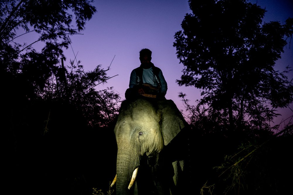 Smithsonian_Myanmar_Elephant Collaring_Justin_Mott_208.JPG