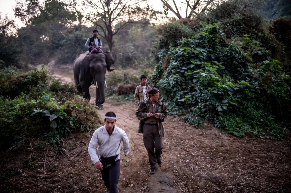 Smithsonian_Myanmar_Elephant Collaring_Justin_Mott_211.JPG