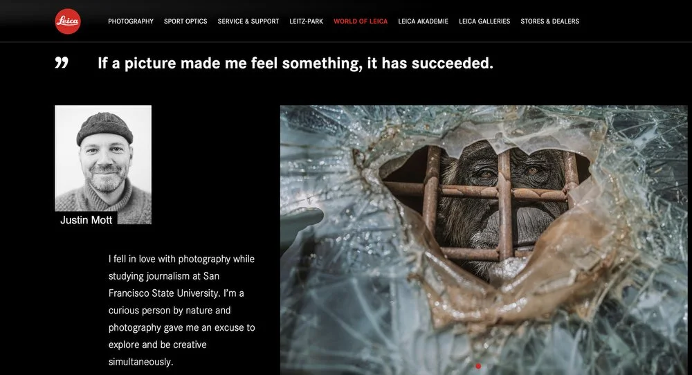 A broken glass window with a heart-shaped opening showing a gorilla behind bars.