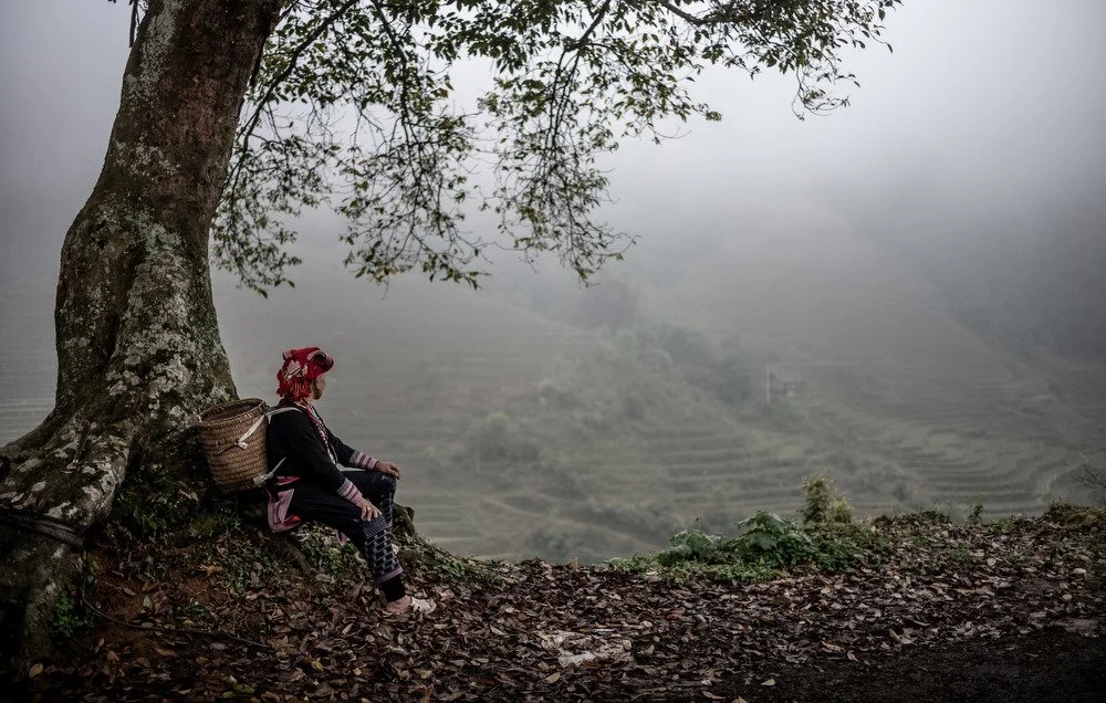 vietnam photography workshop promo