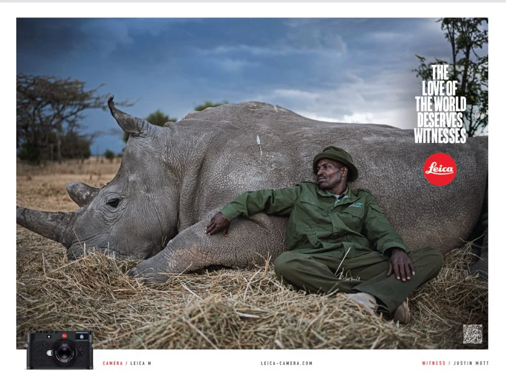 A man sitting next to a resting rhinoceros in a dry landscape with trees and a blue sky; promotional text and Leica logo.