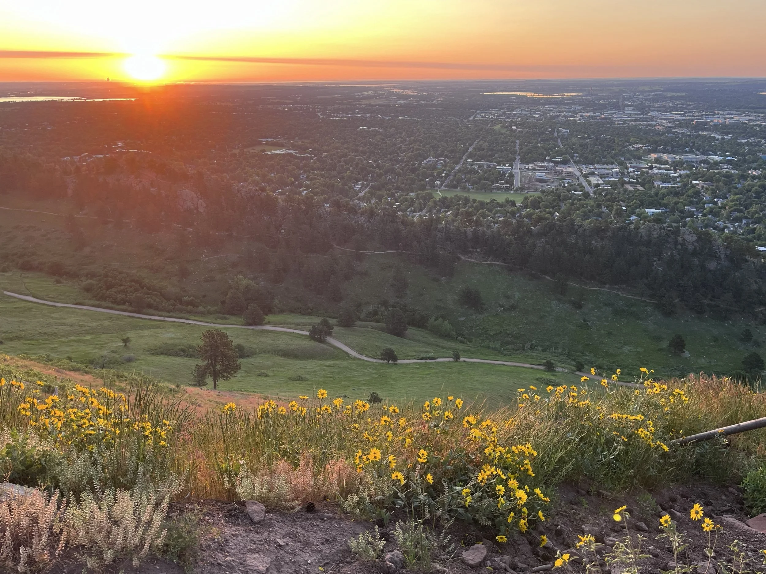 CYA Spring Hike 2026 - Anemone Loop