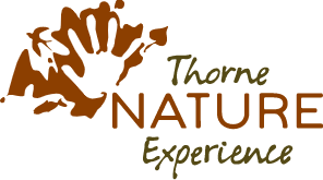 Yale Day of Service - Thorne Nature Experience