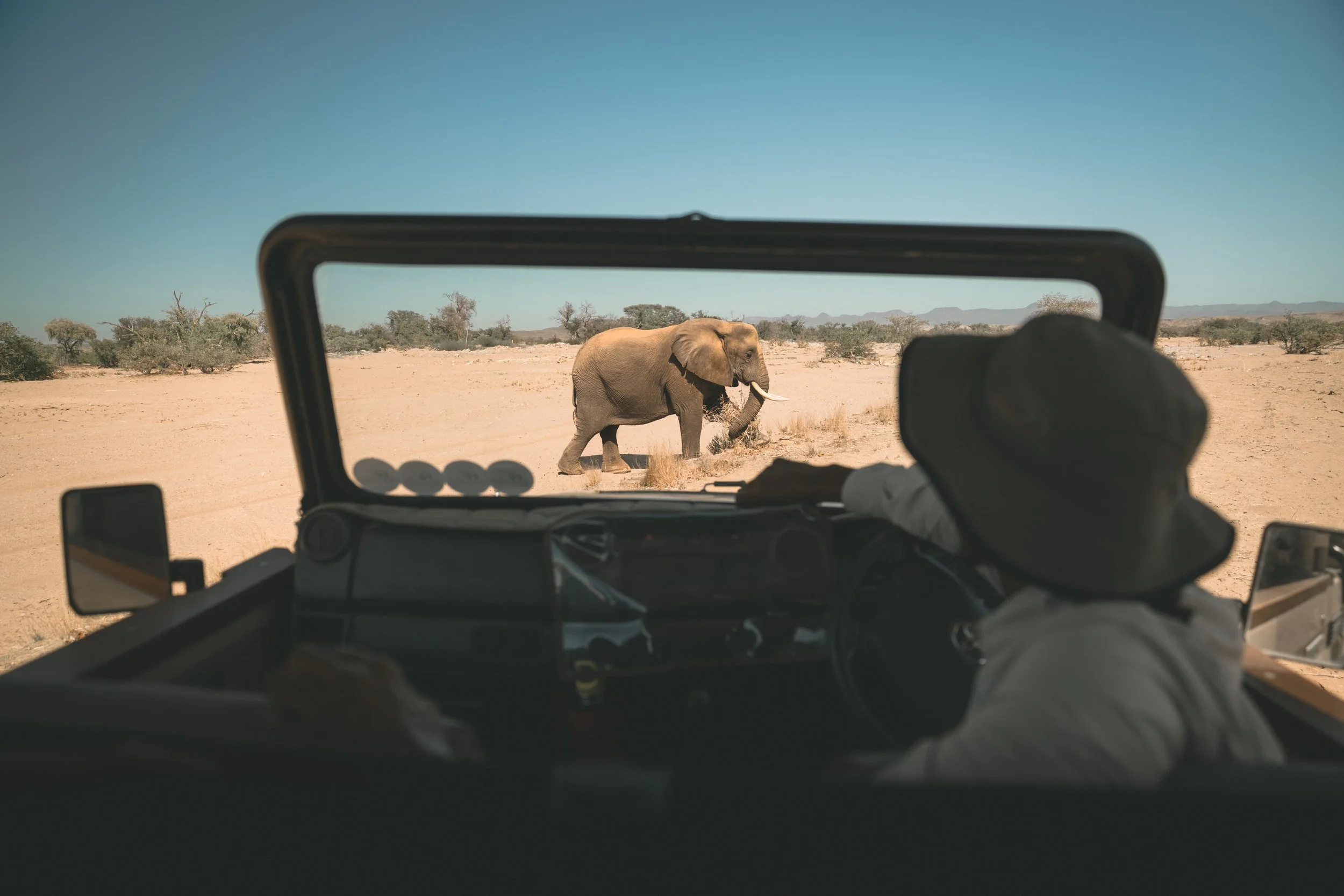 Onduli x Paris 6.jpg