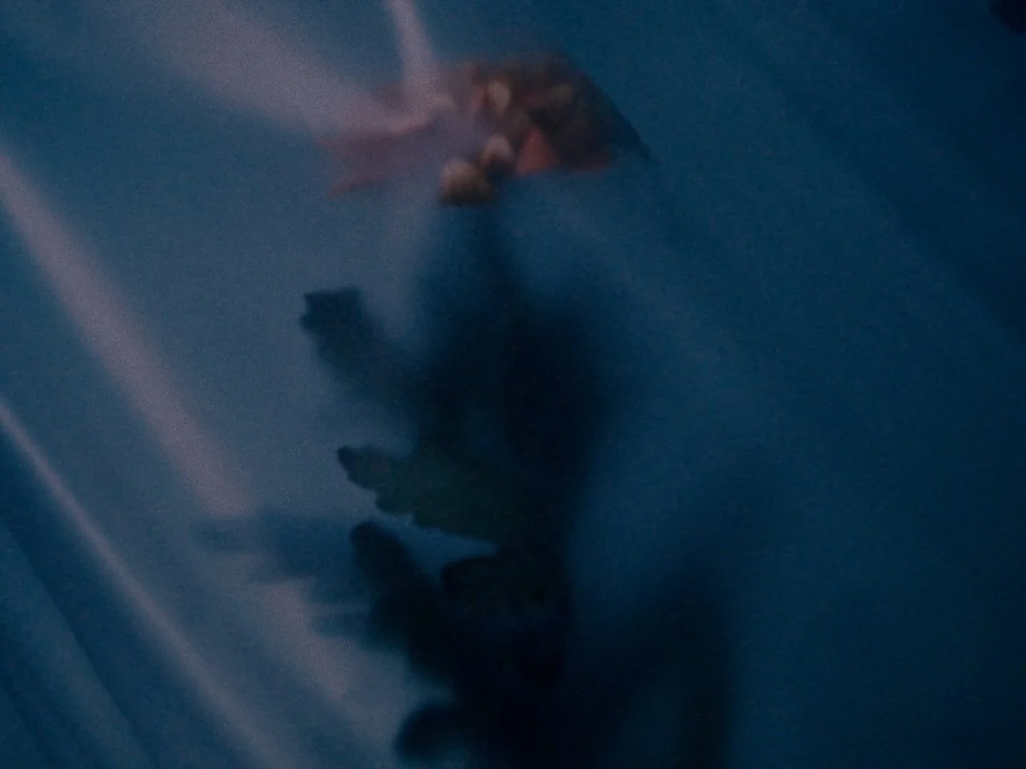 hues_fix_v1 (1080p).00_03_49_12.静止画014.jpg