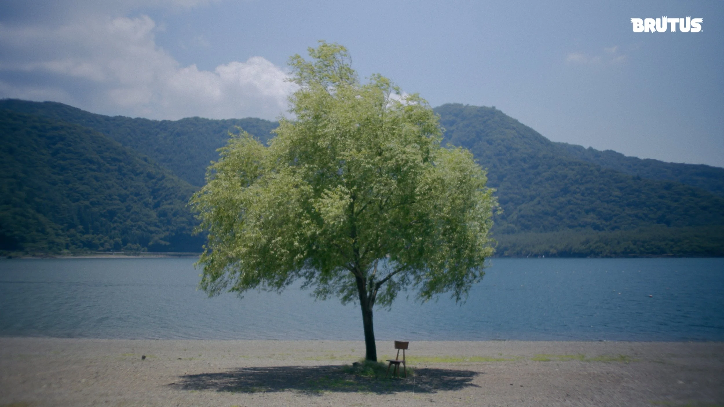 0808_vol1_00_00_15_00.jpg