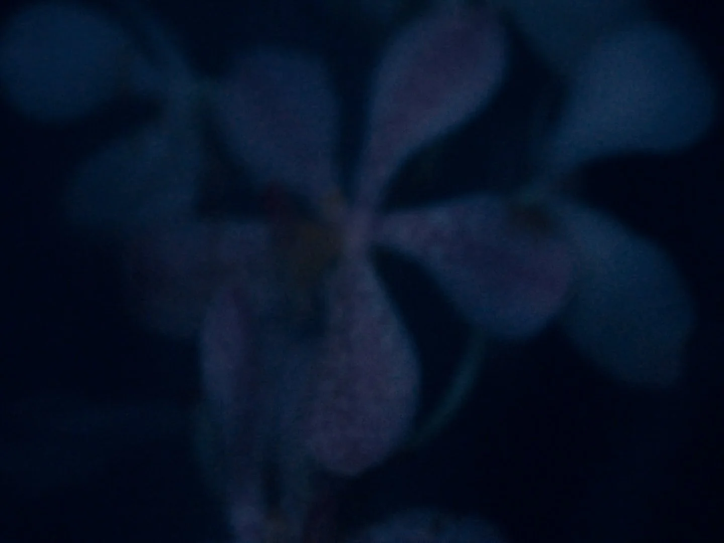 hues_fix_v1 (1080p).00_00_40_14.静止画007.jpg