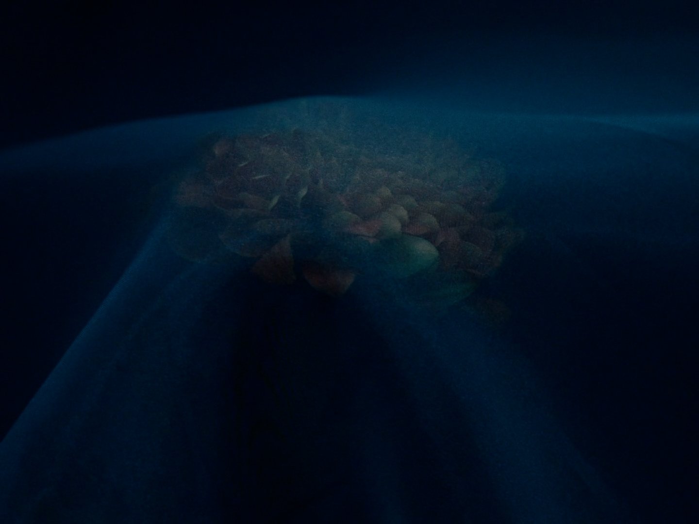 hues_fix_v1 (1080p).00_00_02_17.静止画001.jpg