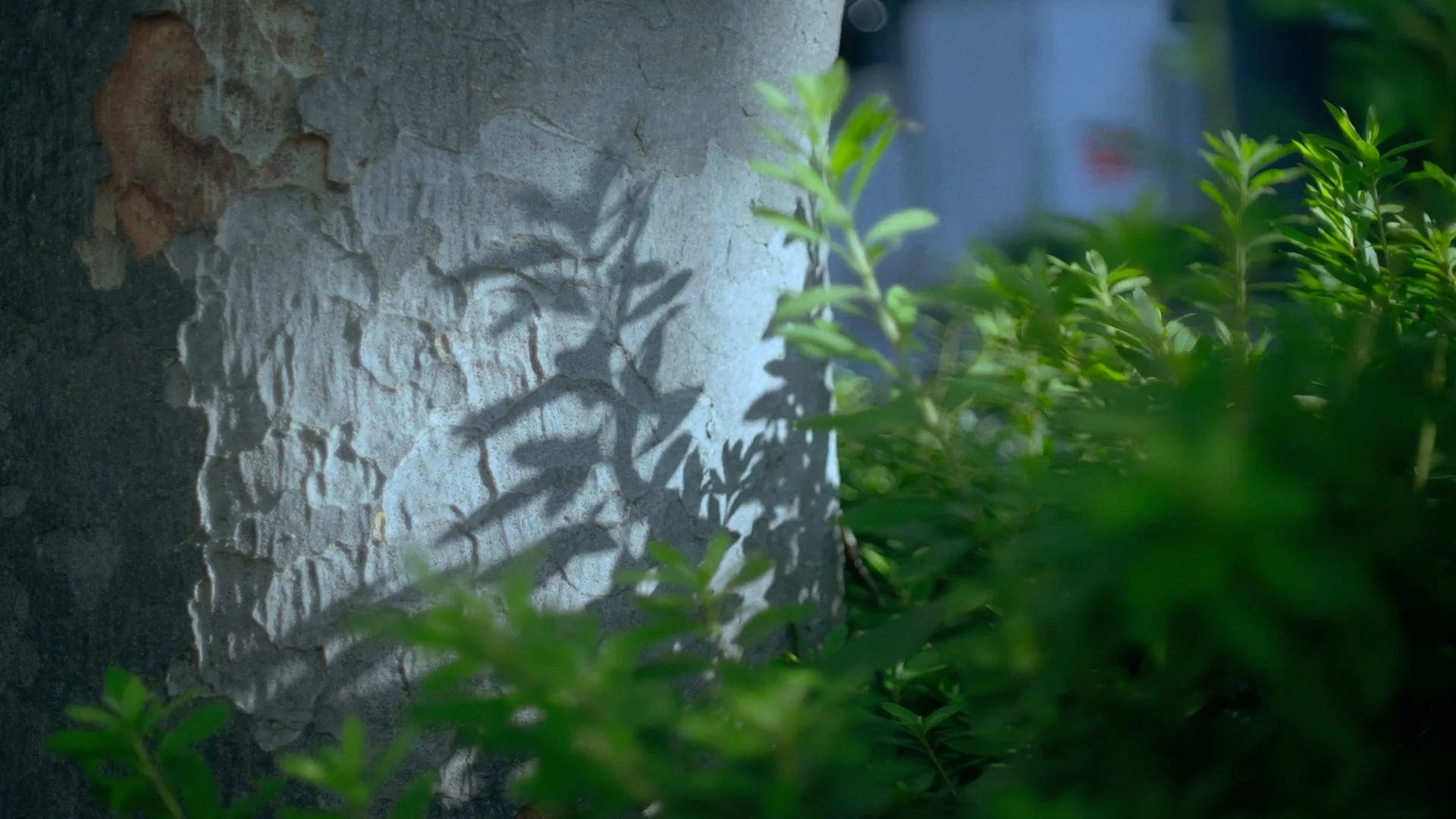 10.Little Baby_mix1.00_00_04_12.静止画024.jpg