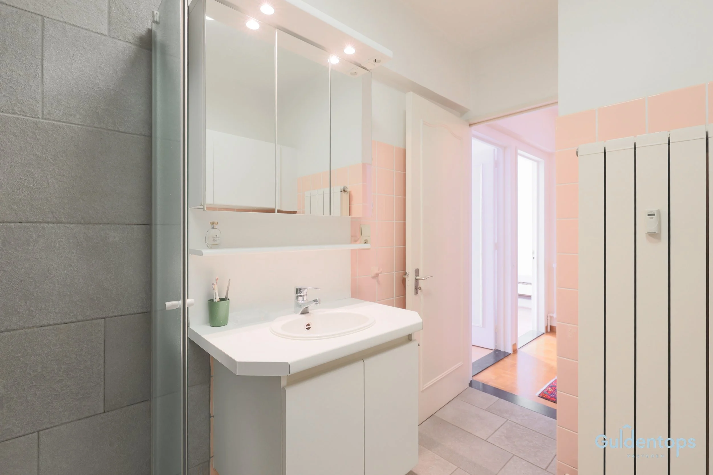 HQ DE ROEST D ALKEMADELAAN 1 6V GS VASTGOED-52.jpg