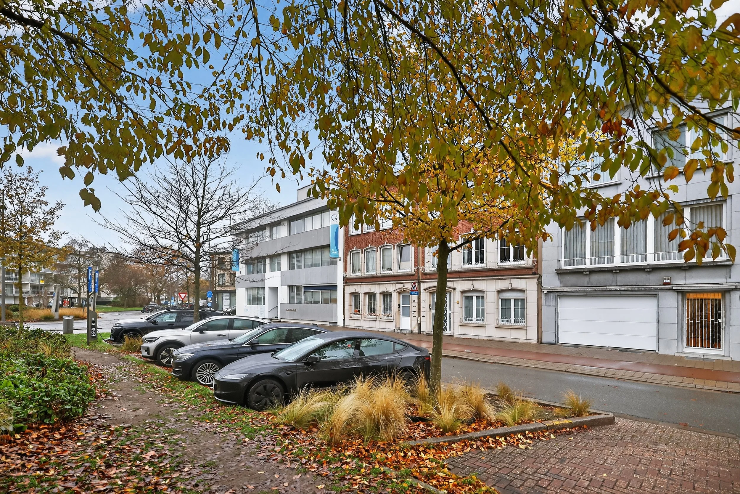 Ringlaan -43.jpg