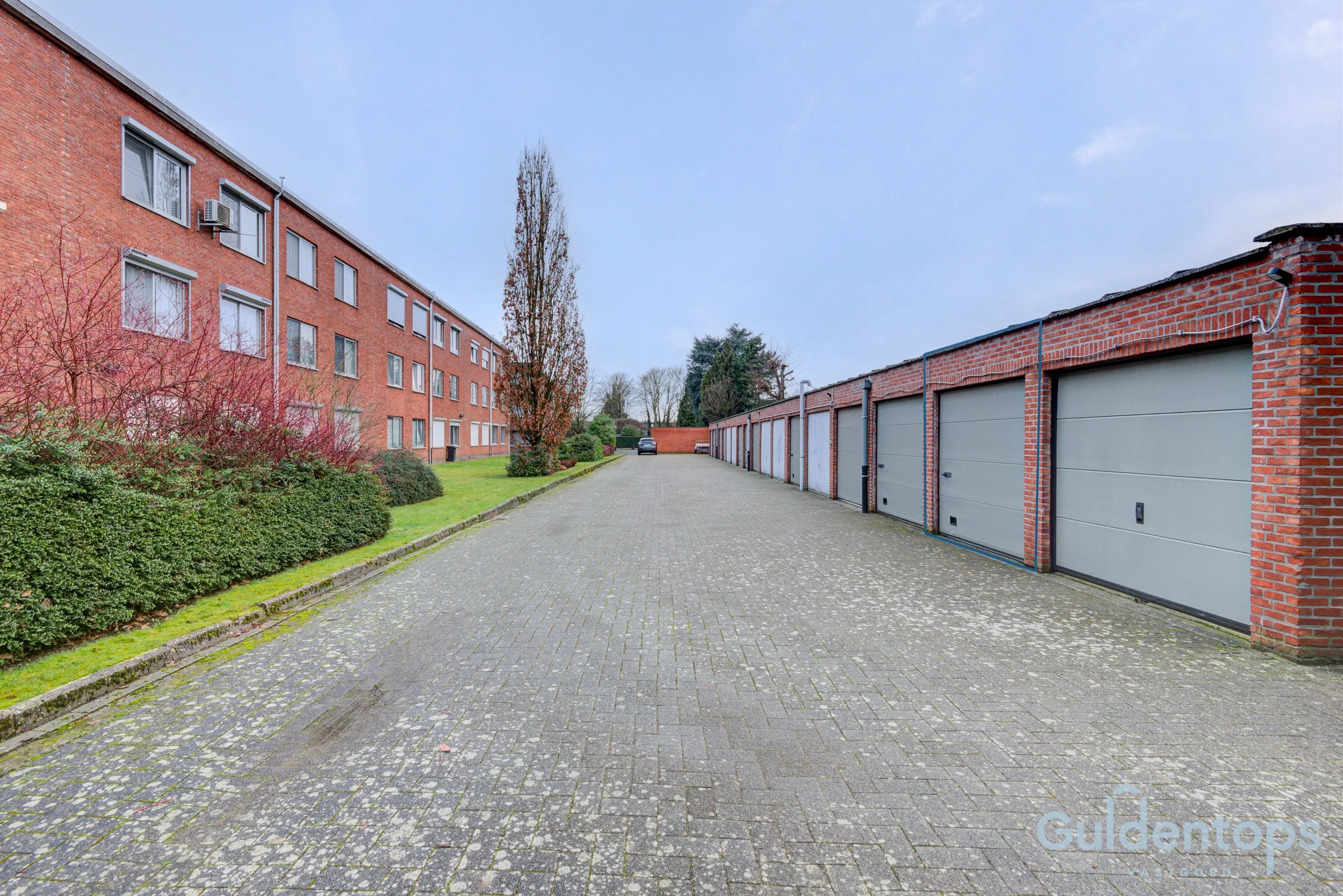 2026-02-06 Guldentops-Edegem-Romeinse Put 104 Foto 26 RS.JPG