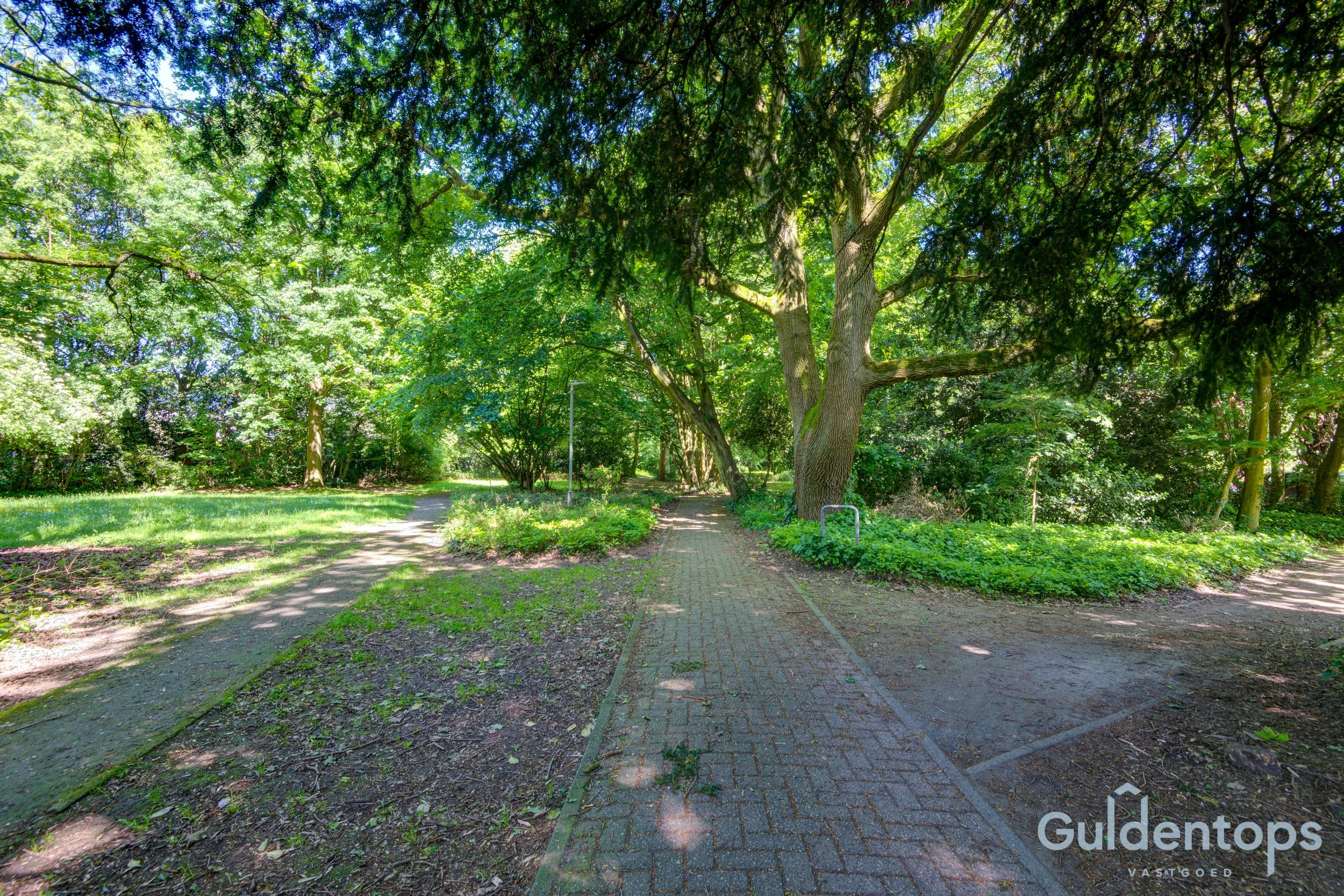 2026-05-22 GS-Edegem-Kladdenbergstraat 24 Foto 51 RS.JPG